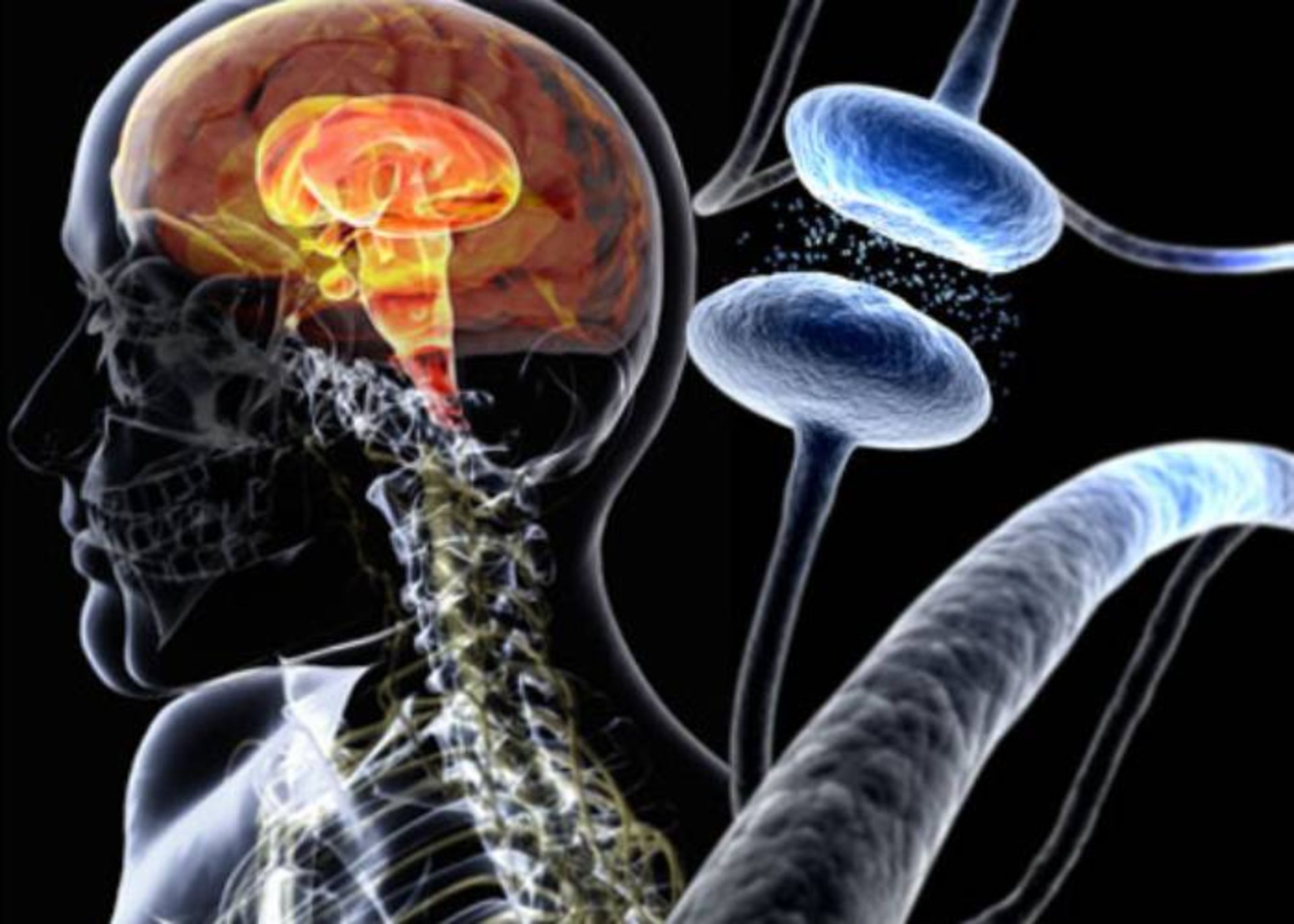 ناقل عصبی مغز