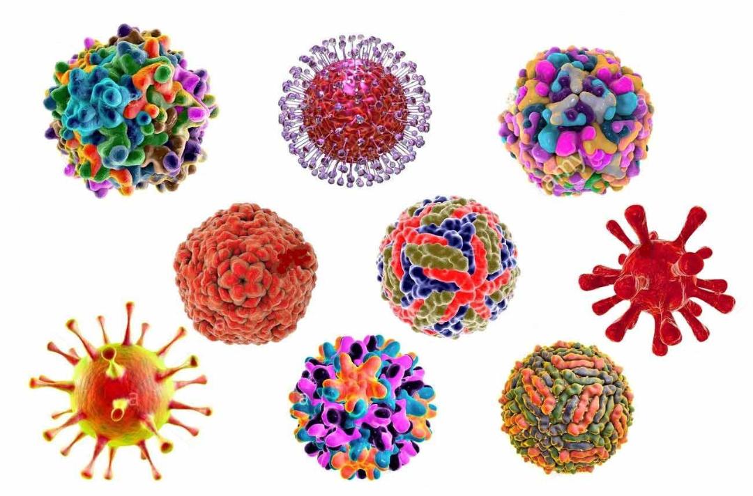 ویروس / virus