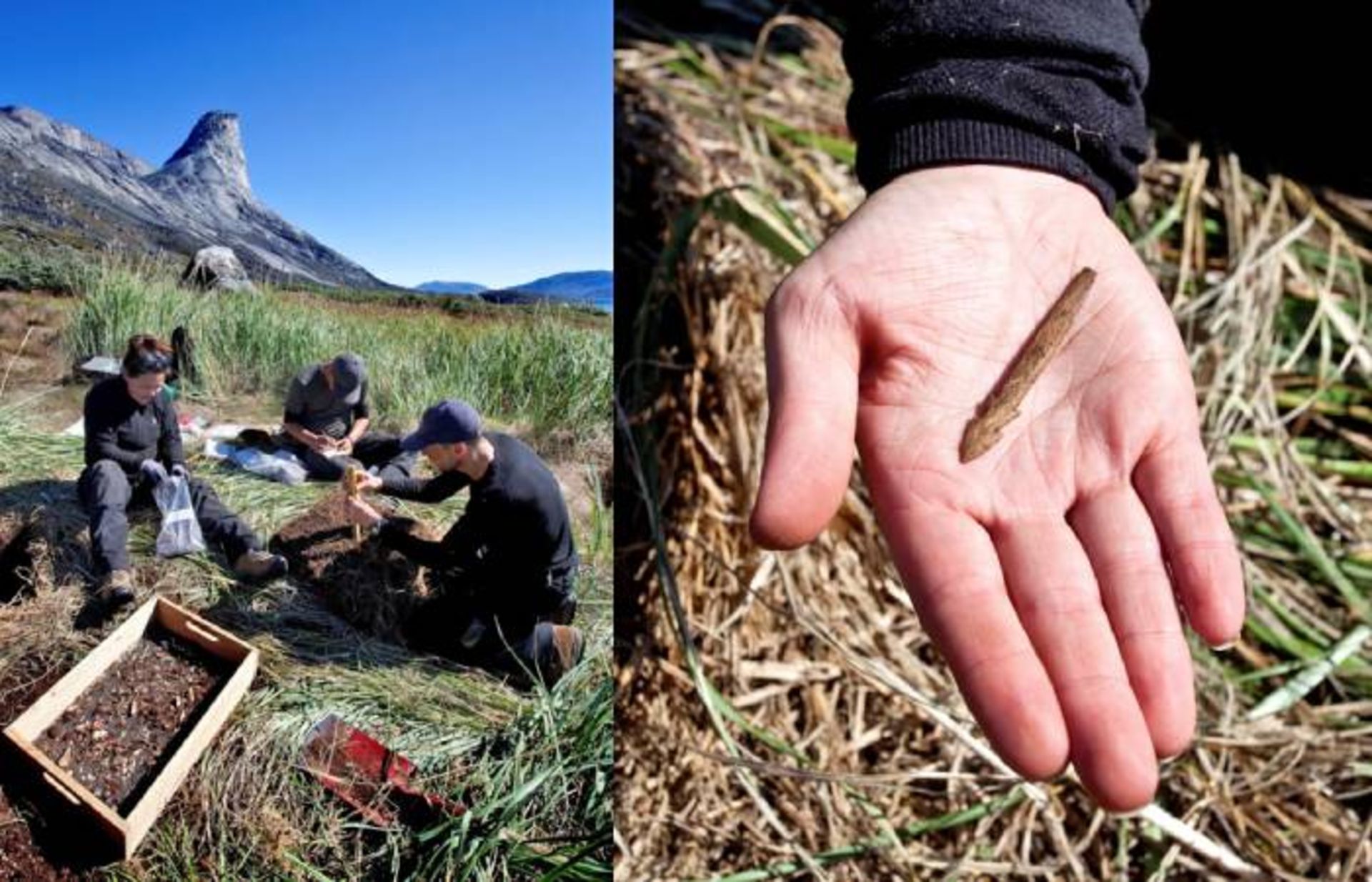 باستان شناسان