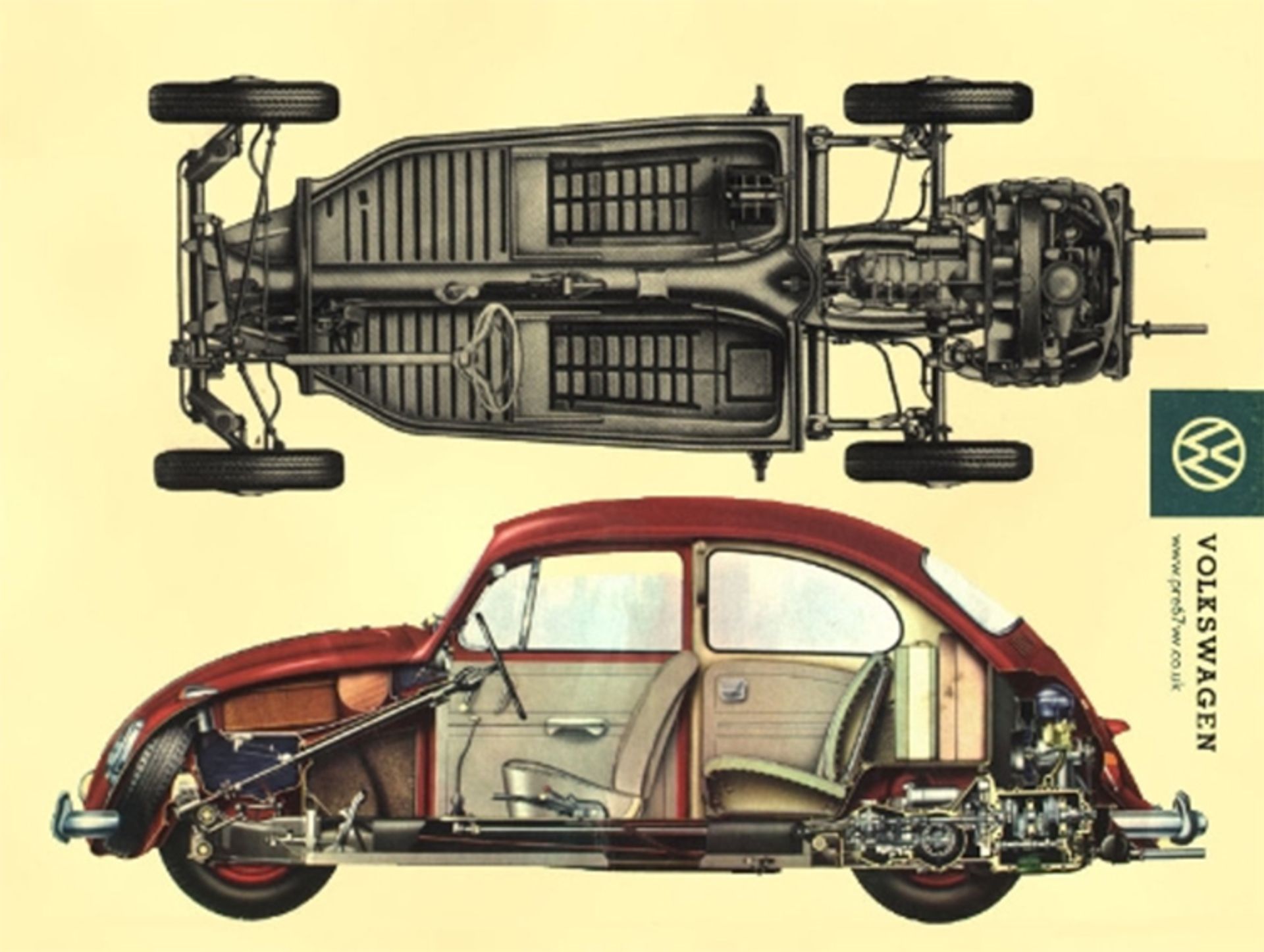 beetle chassis 
