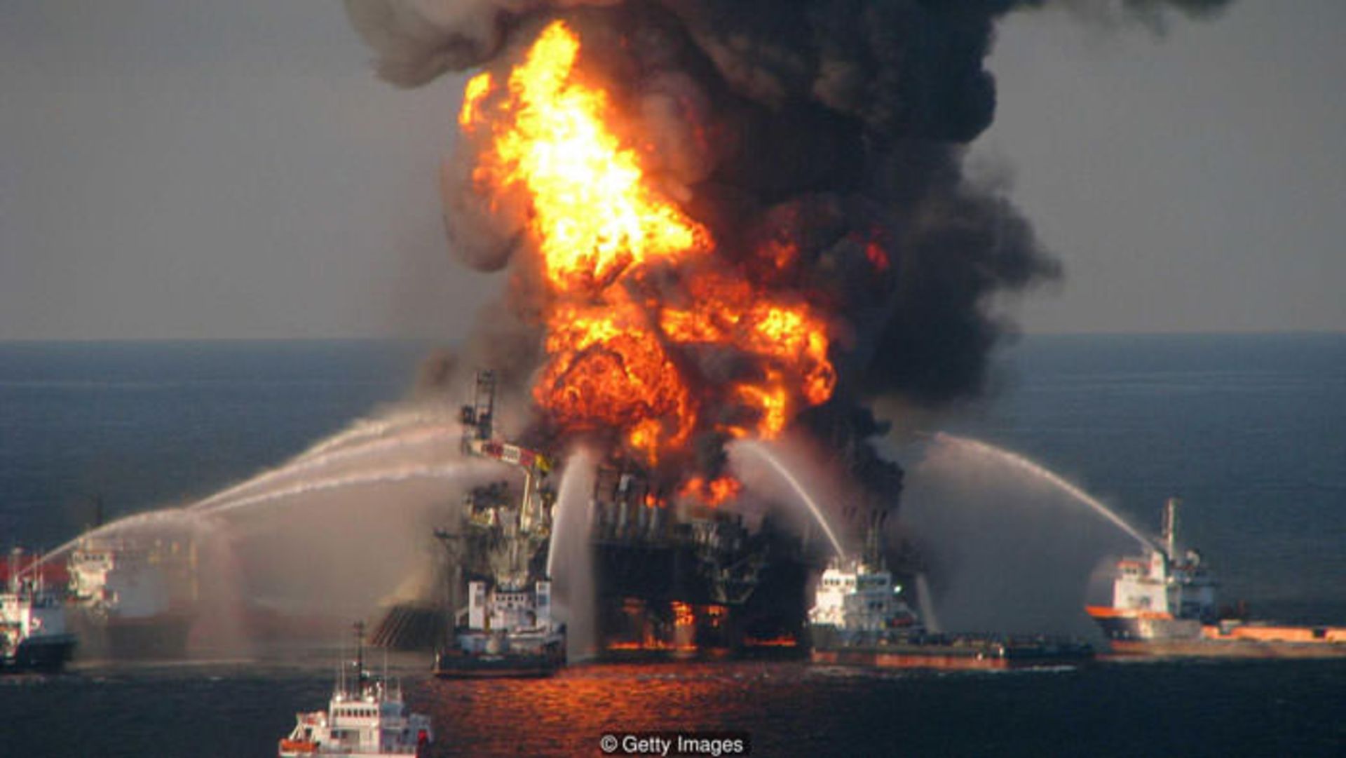 هوش بشر / human intelligence