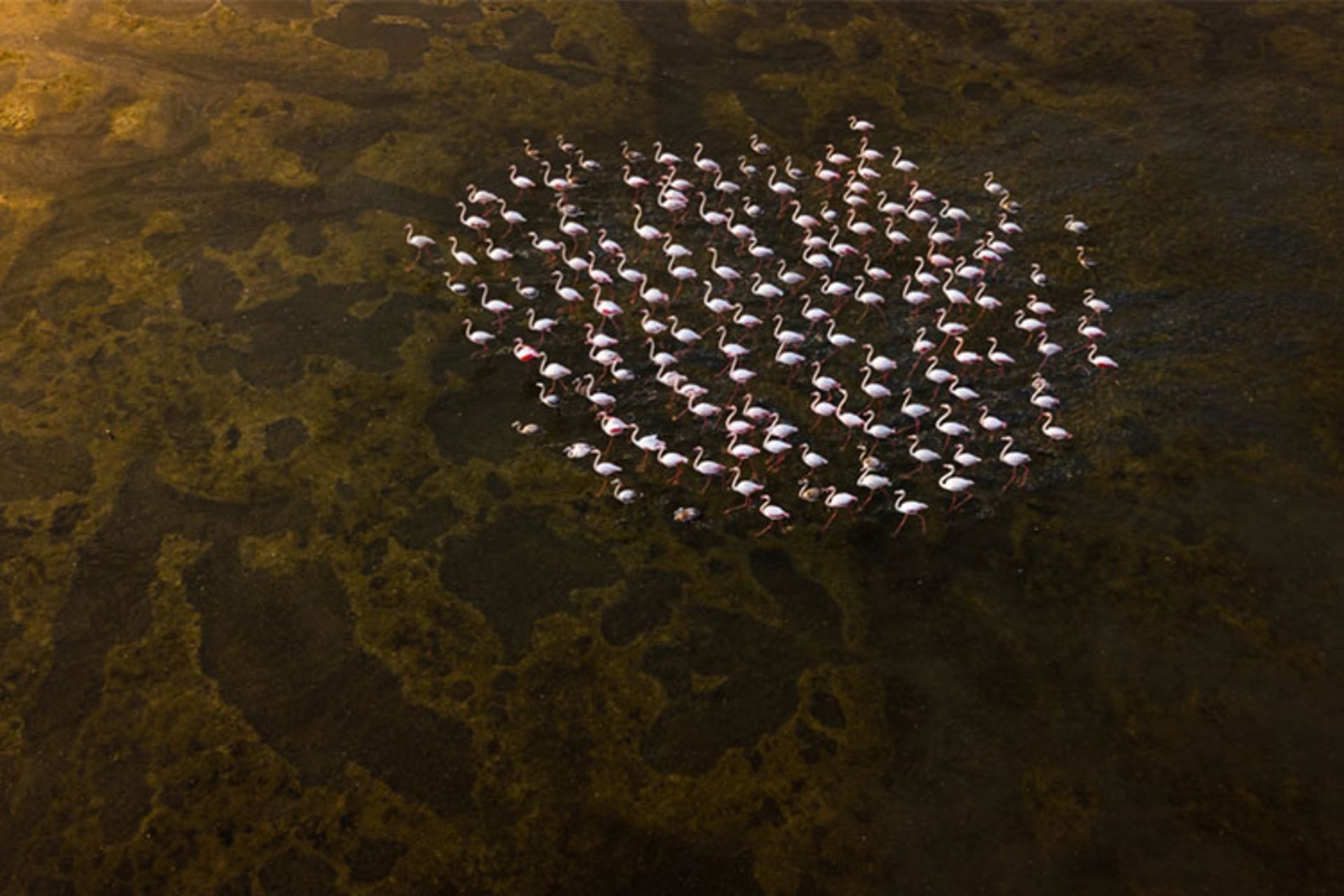 مسابقه عکاسی پهپاد 2019