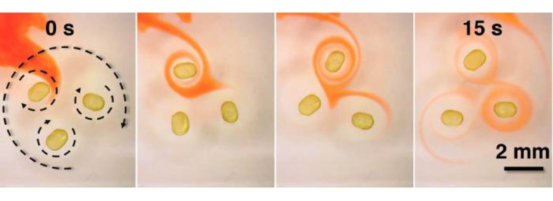 آهنربای مایع