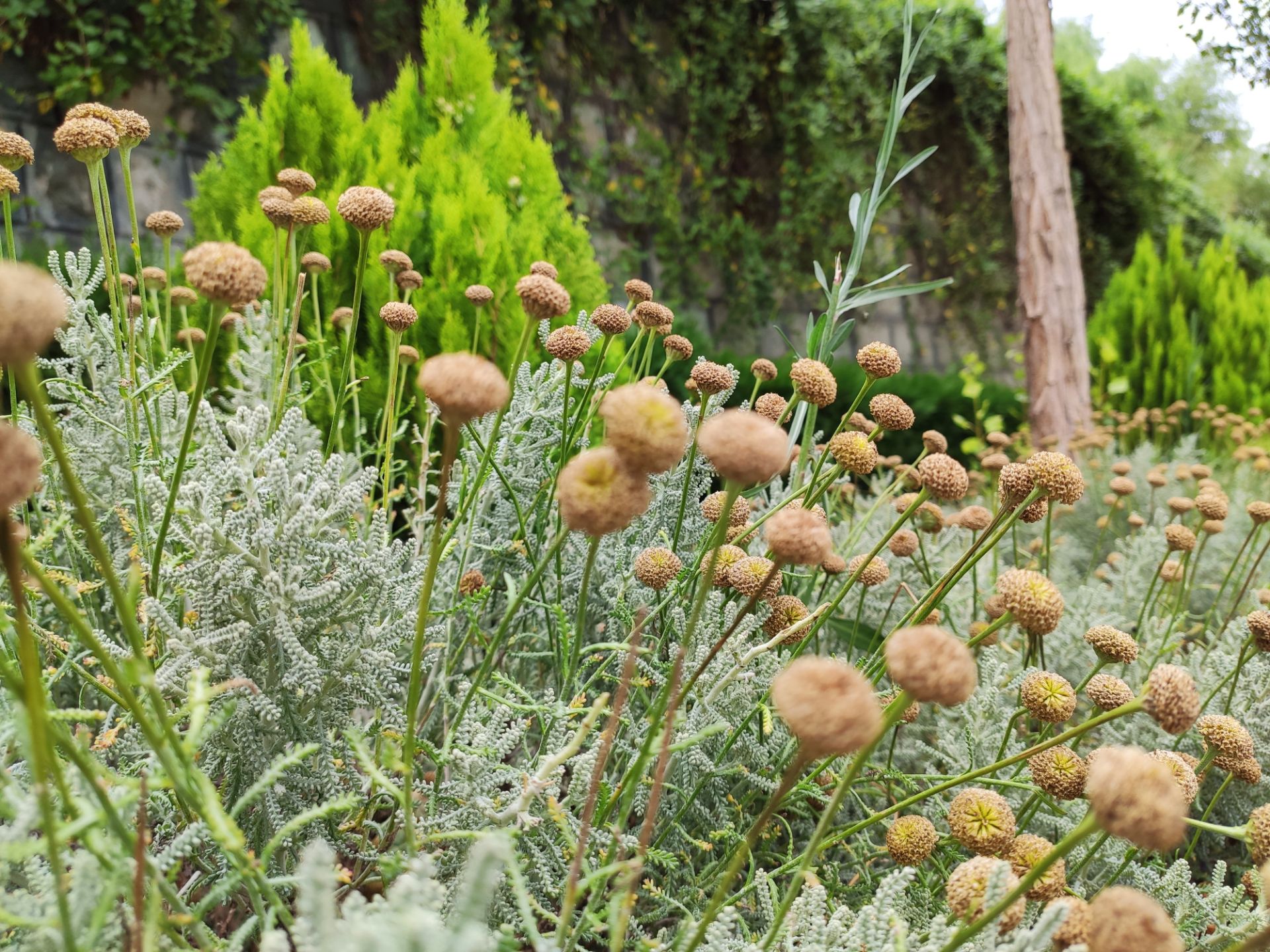 نمونه عکس گرفته شده با دوربین اصلی می ۹ تی / Mi 9T