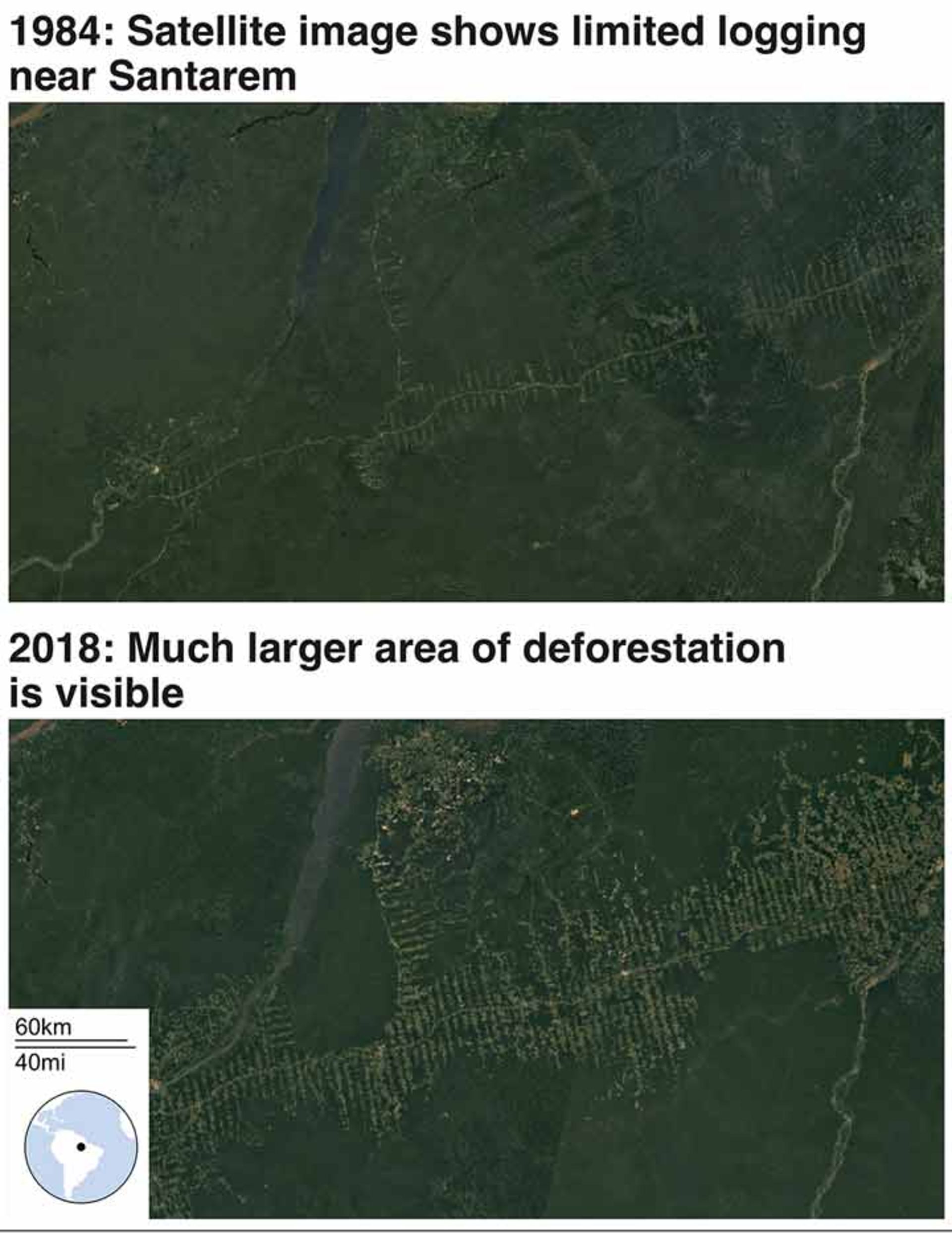 مرجع متخصصين ايران تصوير ماهواره‌اي كه قطع درختان در سال ۱۹۸۴ و ۲۰۱۸ در منطقه سانتارم را با هم مقايسه مي‌كند