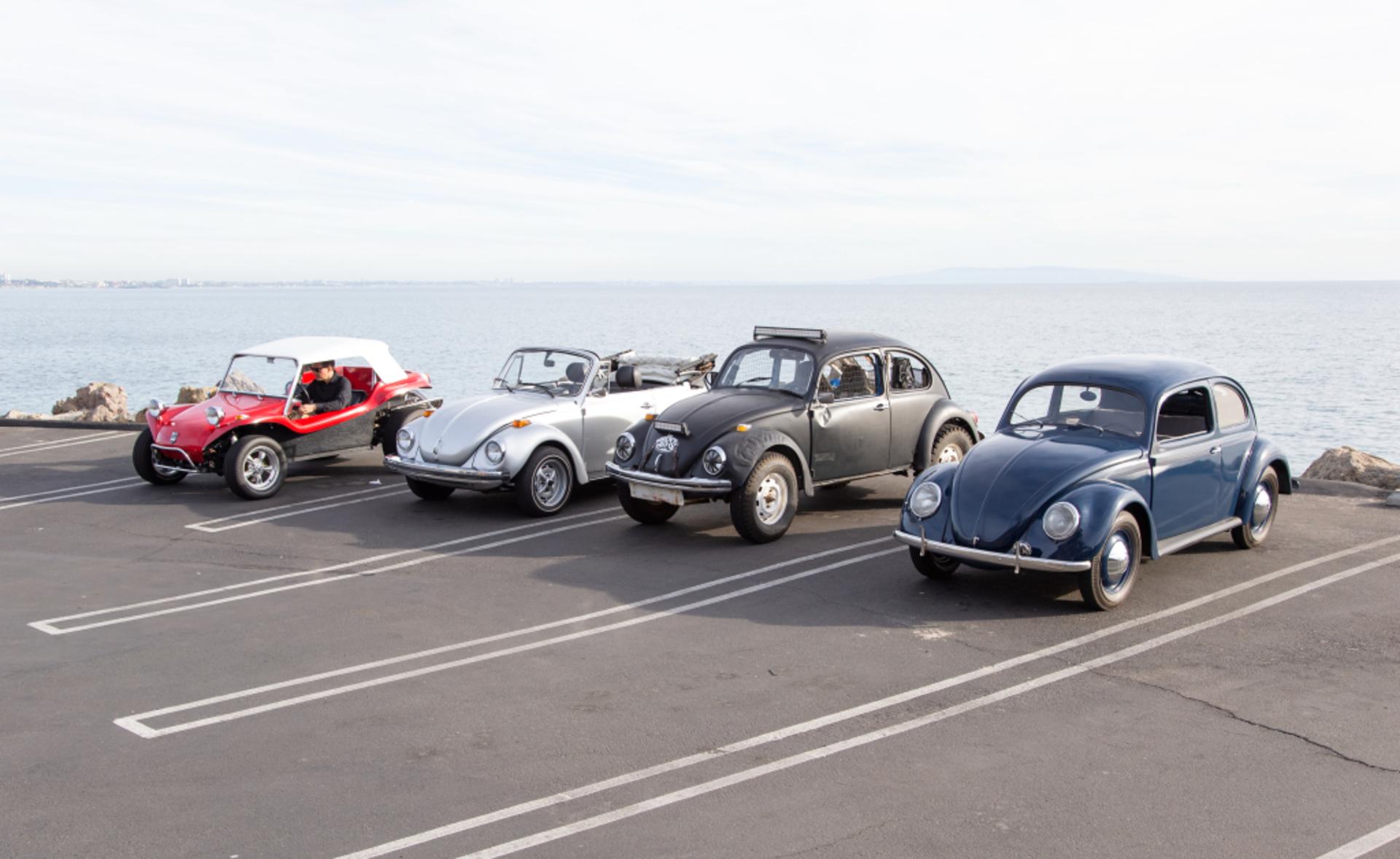 vw beetle