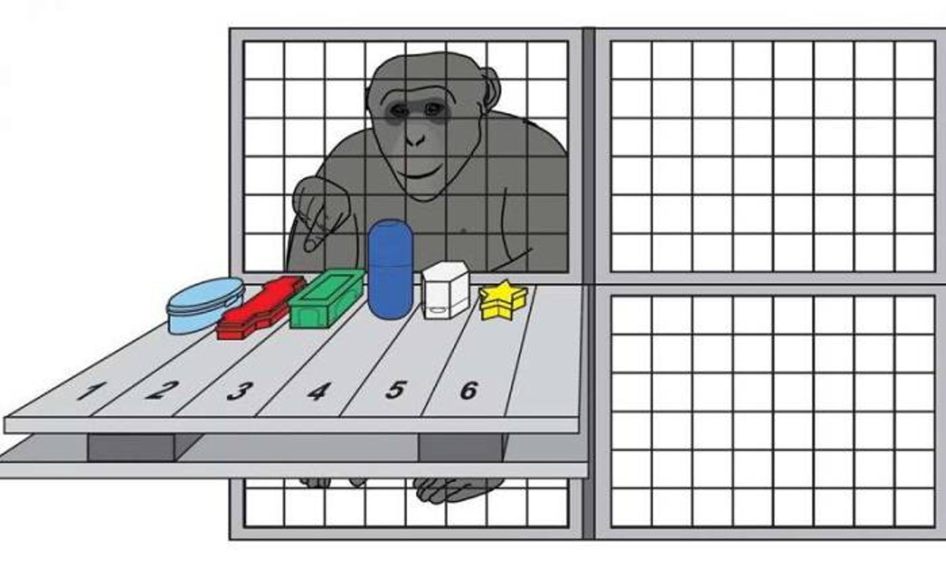 آزمون شامپانزه