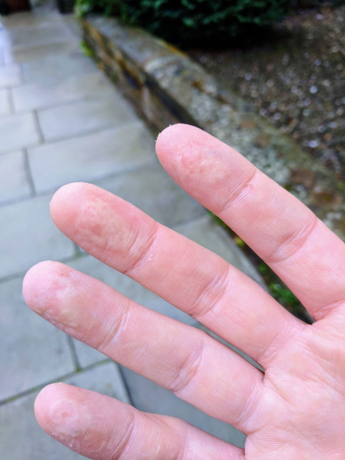 سنسور اثرانگشت چیست و چگونه کار می کند؟ قسمت سوم