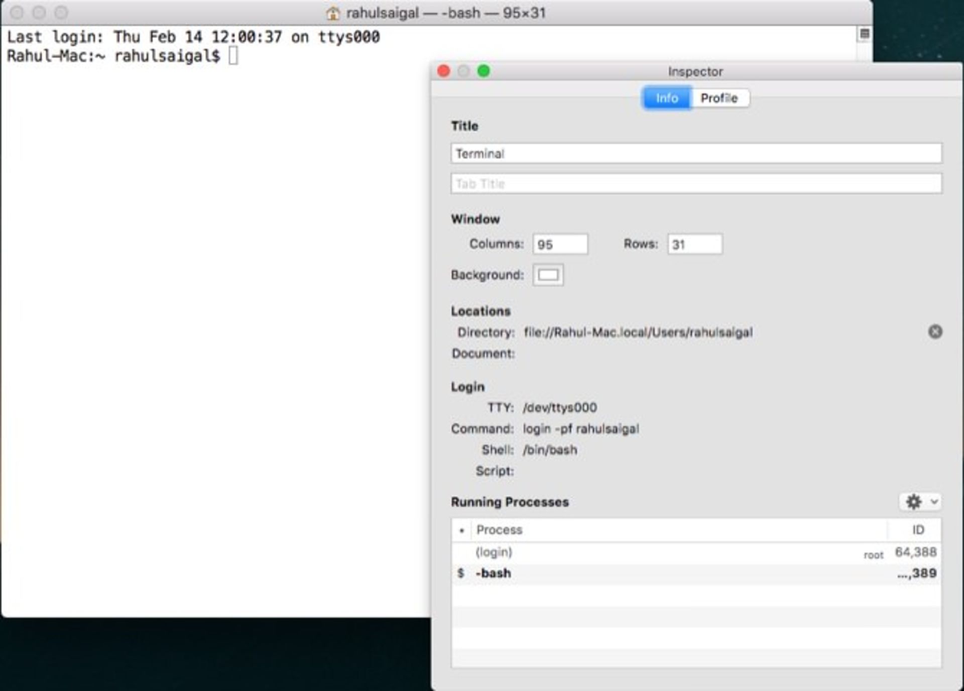 modify the terminal