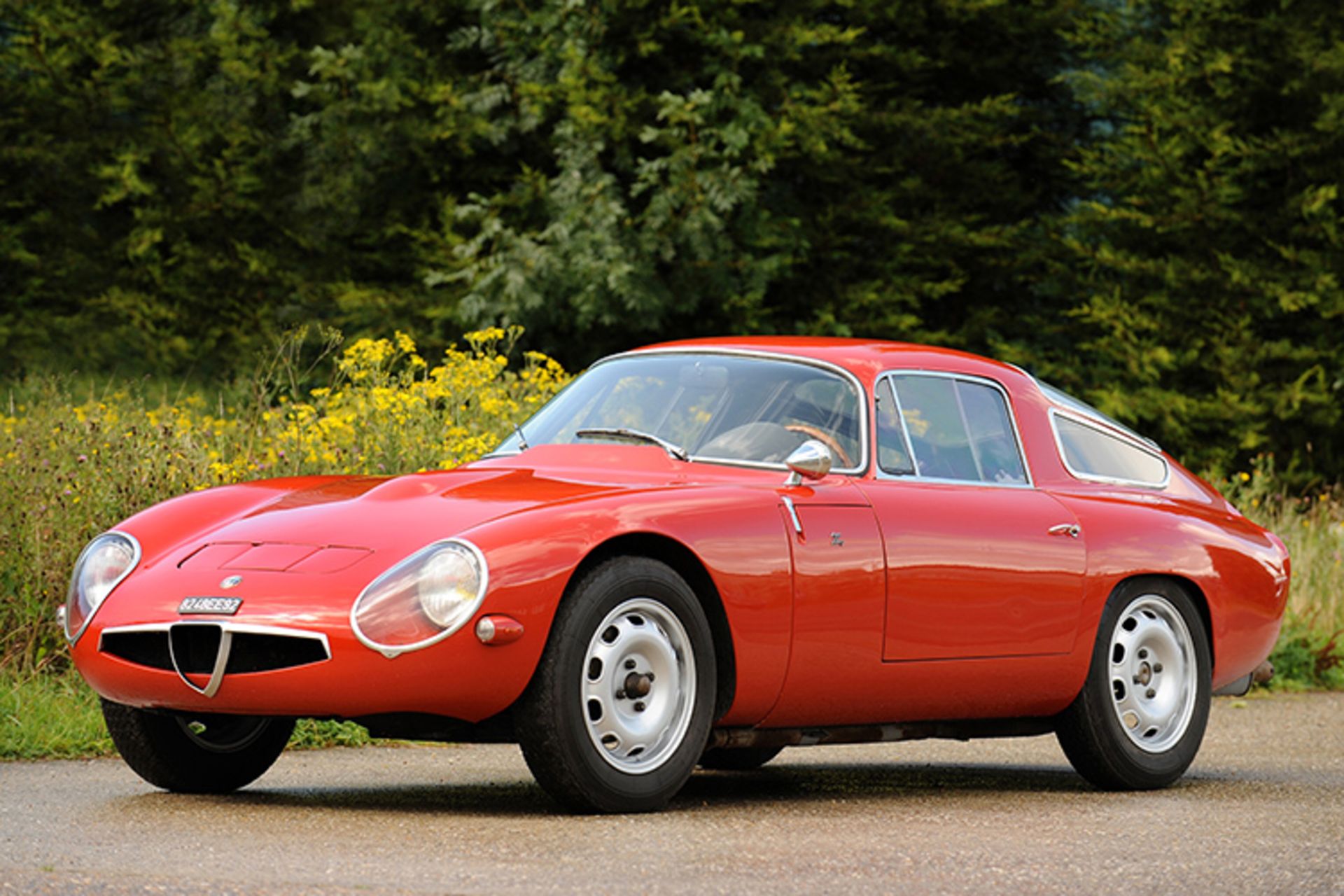 Giulia TZ