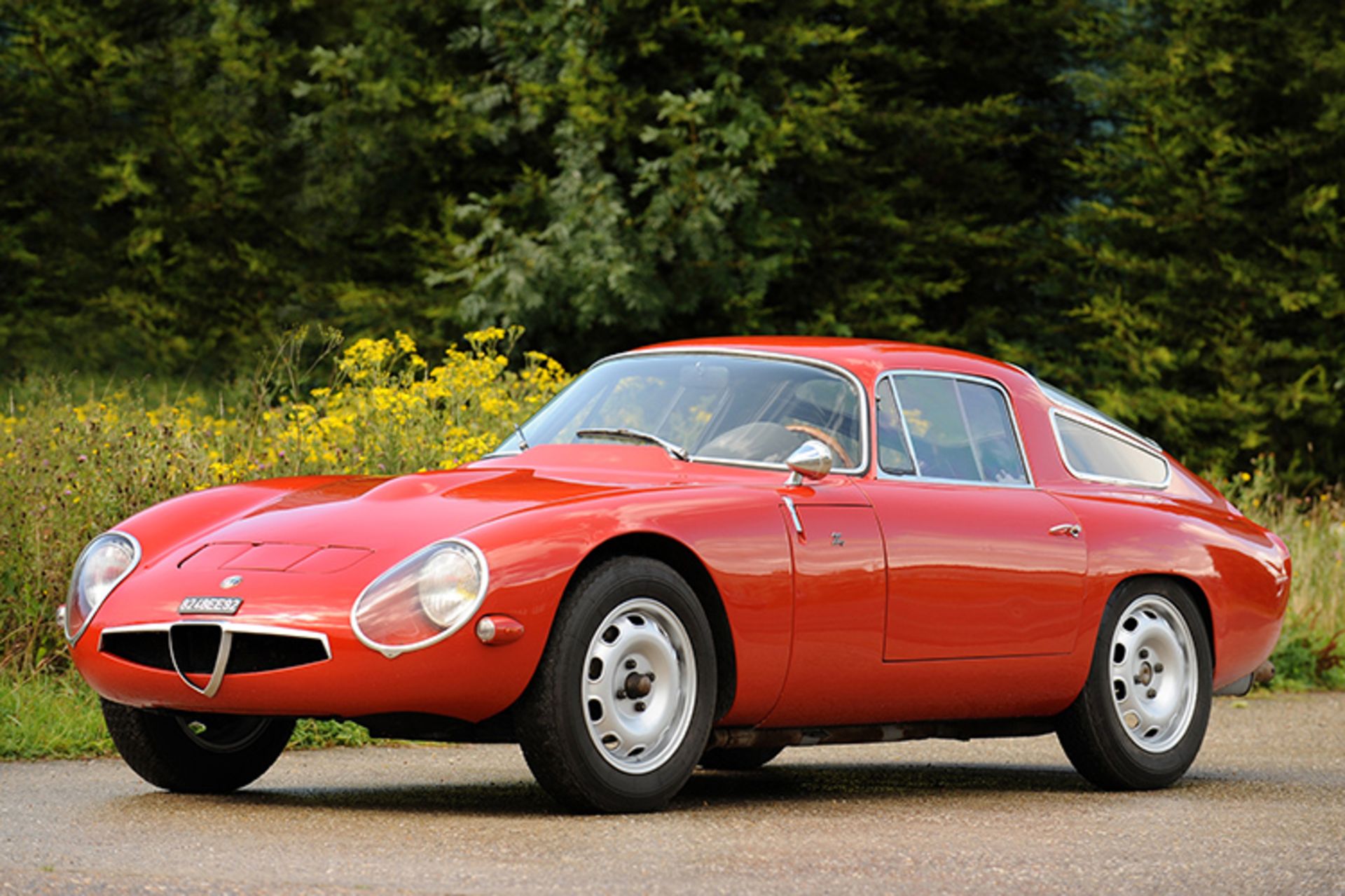 مرجع متخصصين ايران Giulia TZ