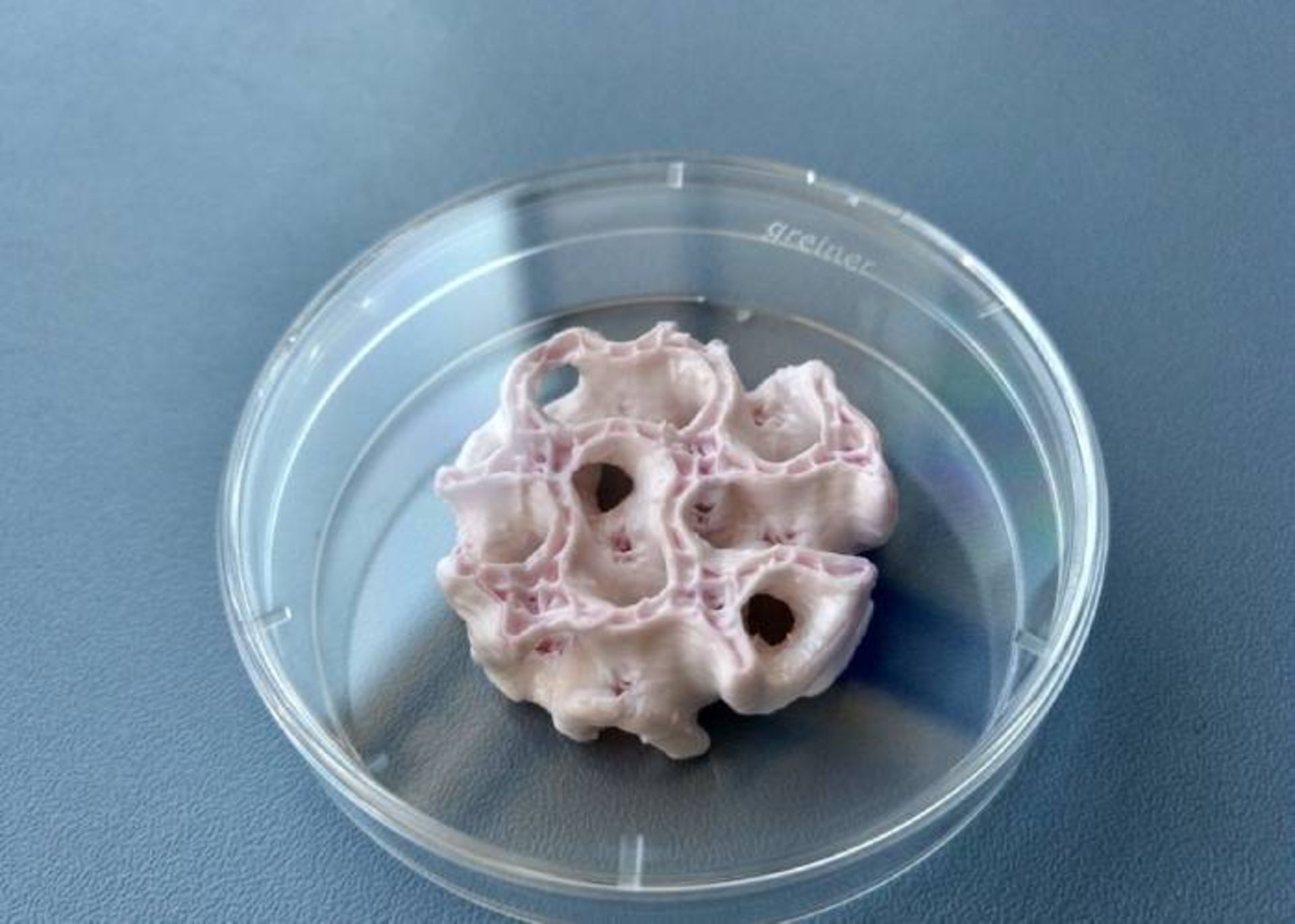 استخوان چاپ سه بعدی