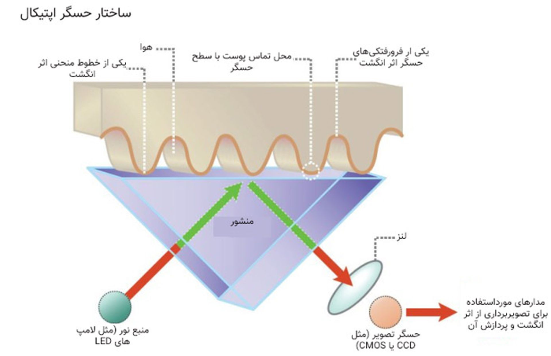 ساختار حسگر اپتیکال