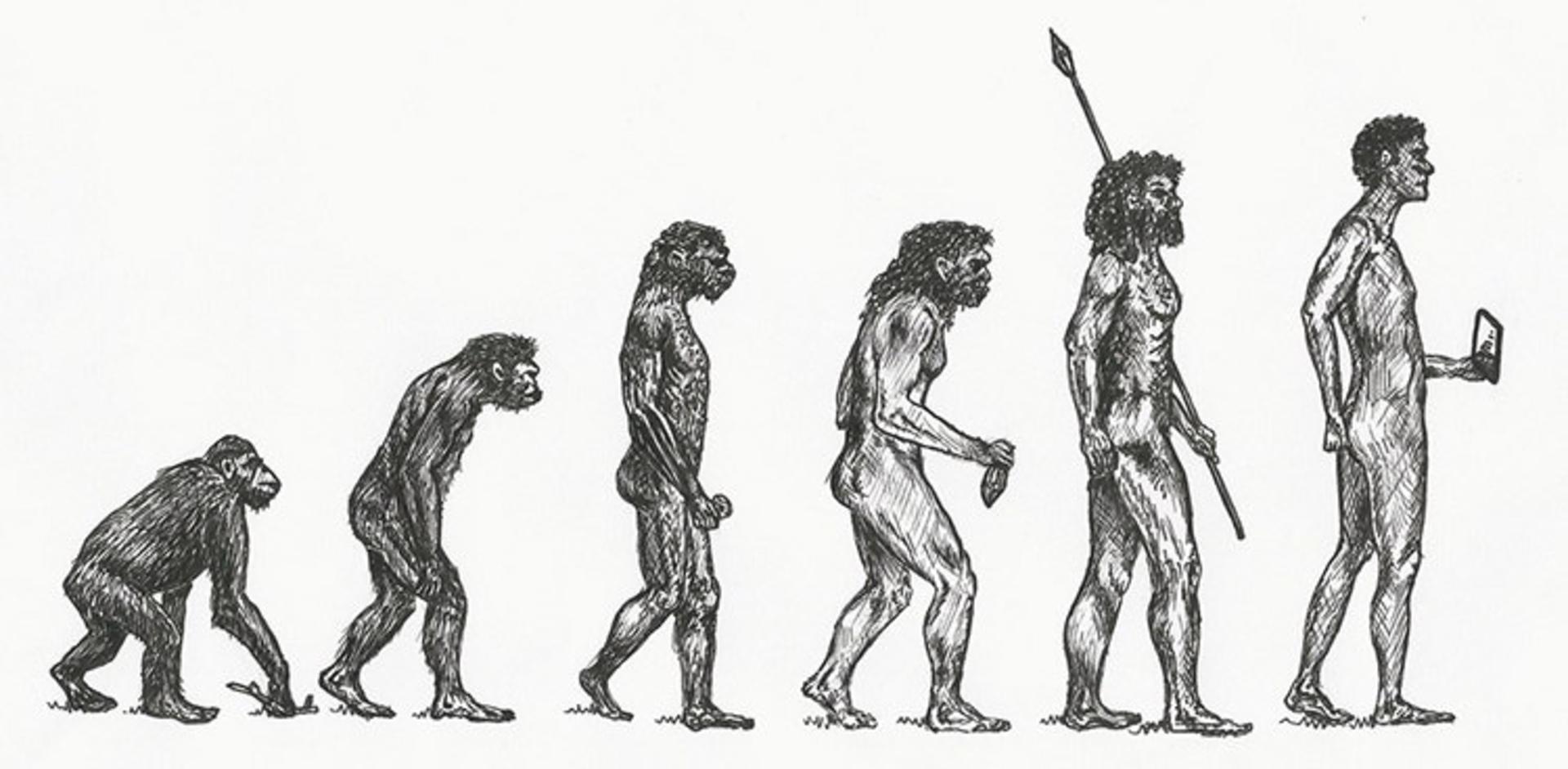 sapiens book/کتاب انسان خردمند یووال نوح هراری