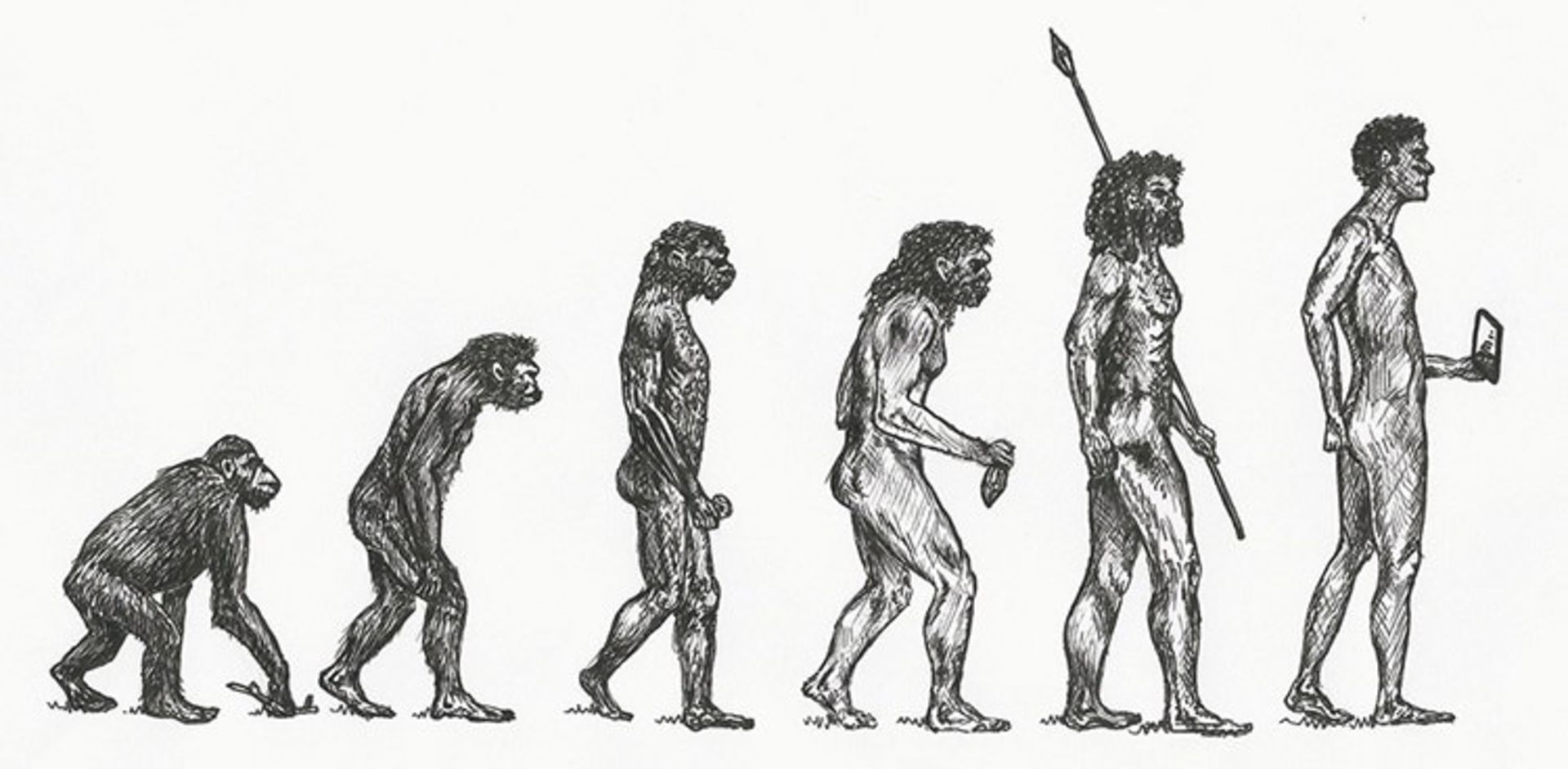sapiens book/کتاب انسان خردمند یووال نوح هراری