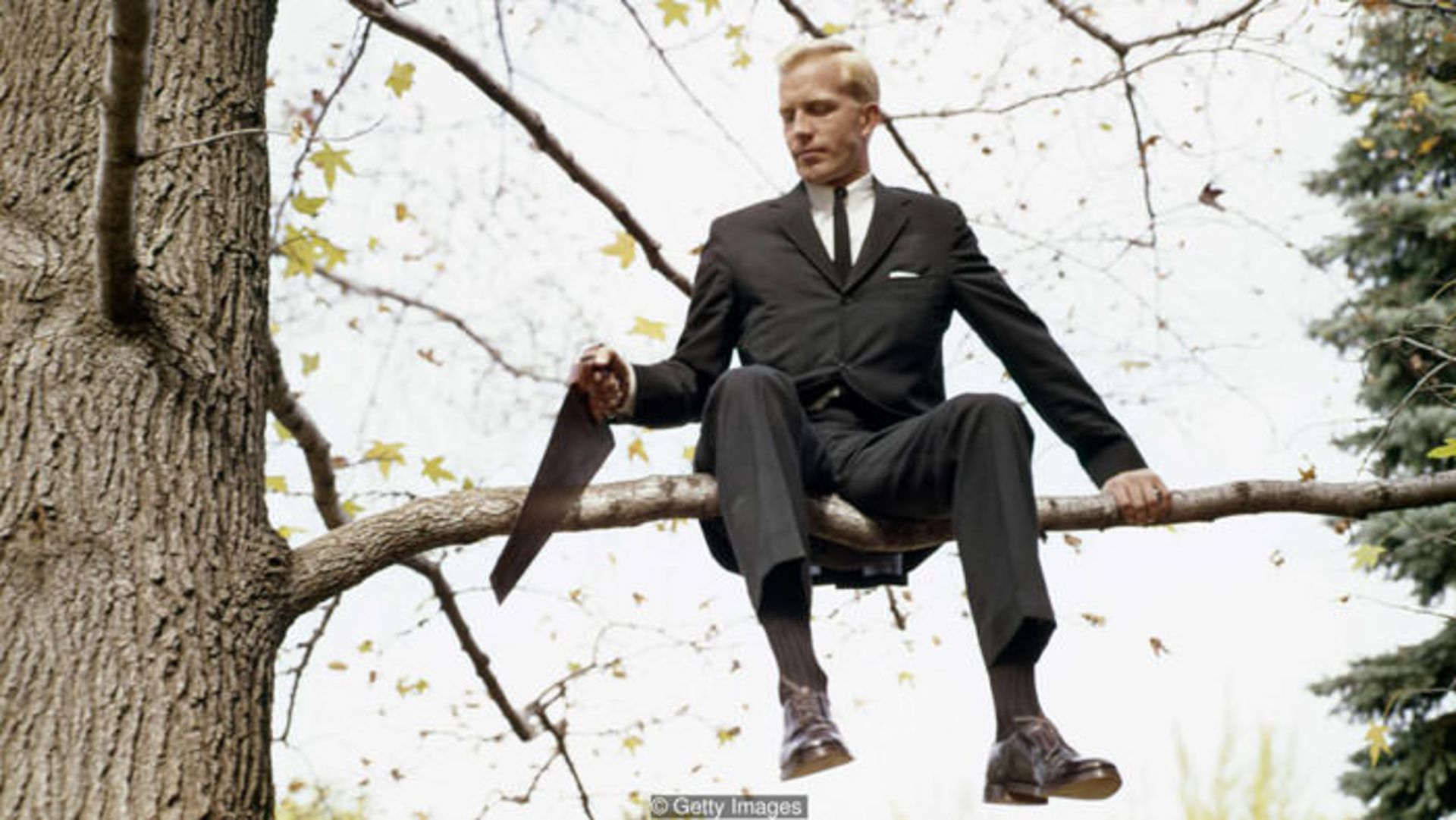 هوش بشر / human intelligence