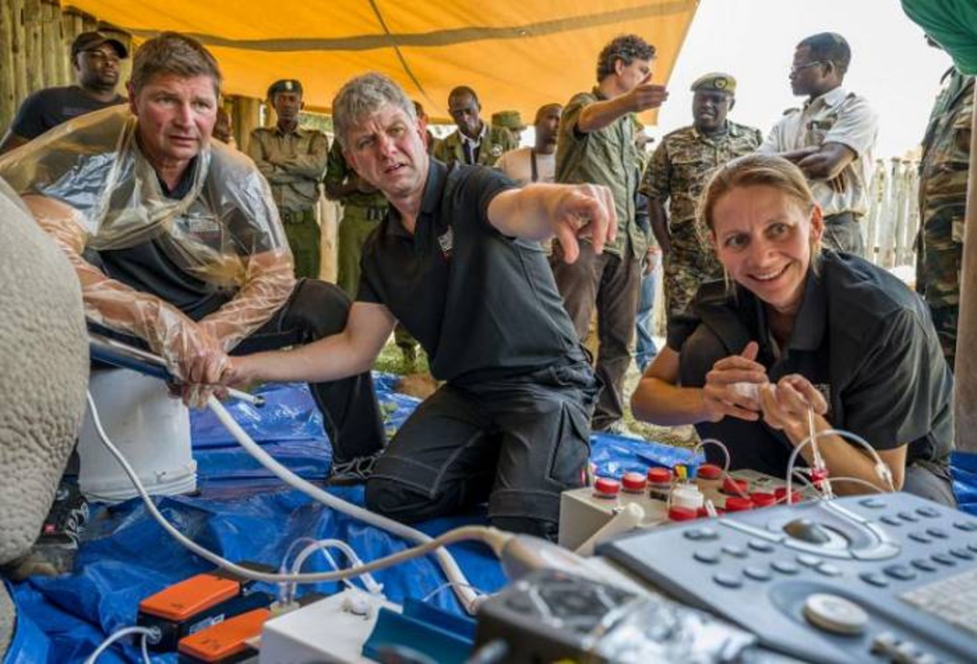 فاتو تحت عملیات استحصال تخمک