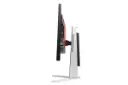 AOC AGON AG251FZ2 / ای او سی اگنون