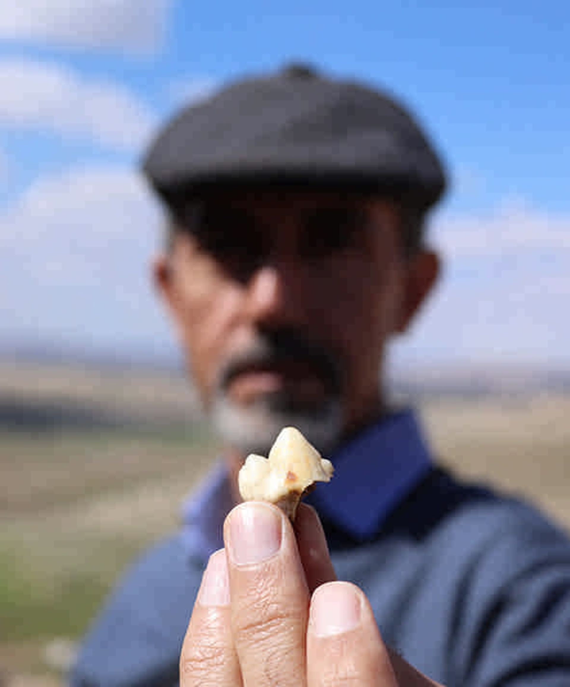 کشف دندان نئاندرتال در ایران
