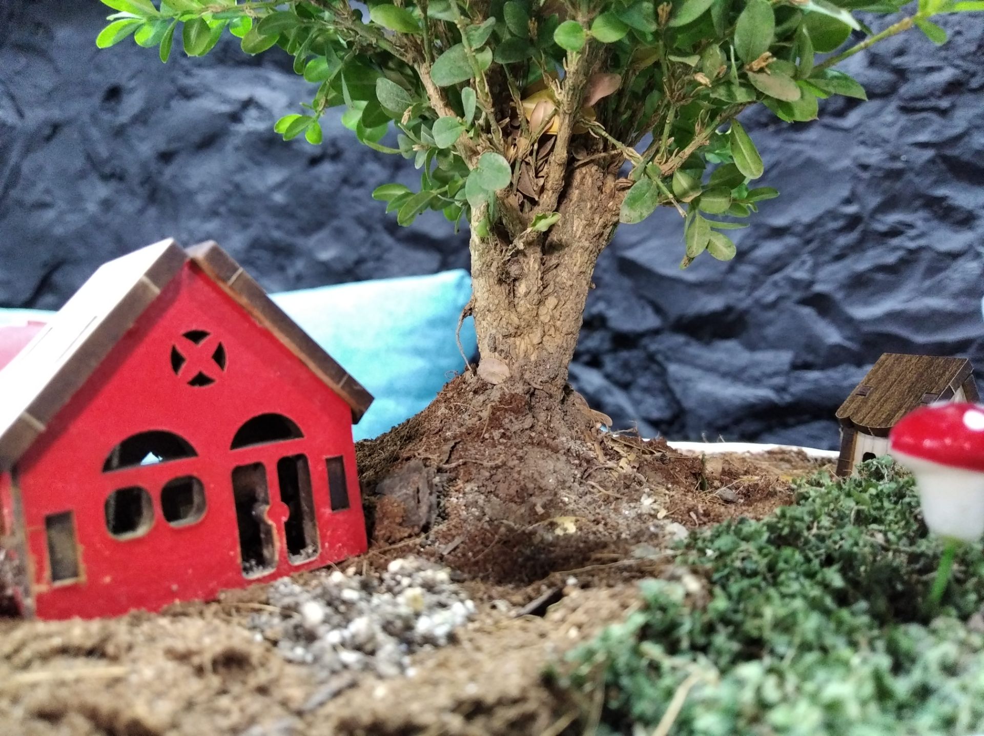 نمونه عکس در نور مصنوعی با ردمی ۷ ای شیائومی - حالت Photo