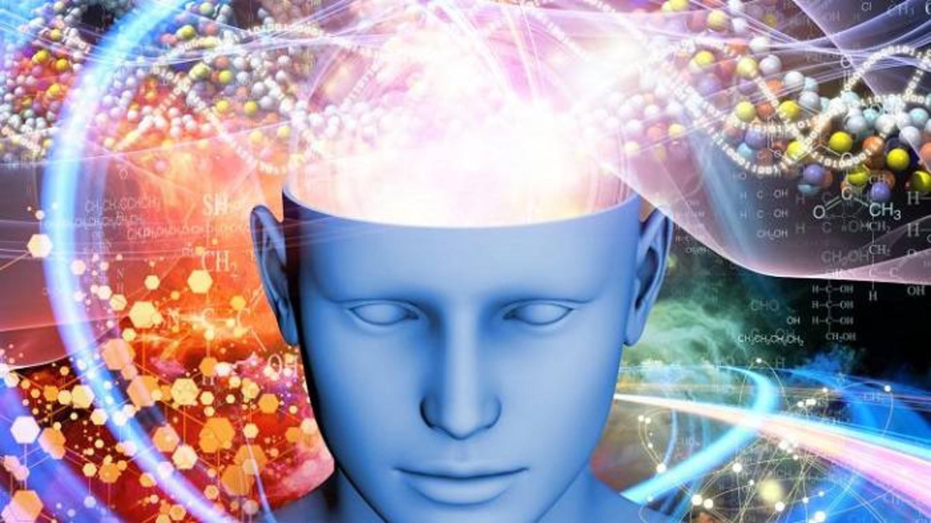 مغز 