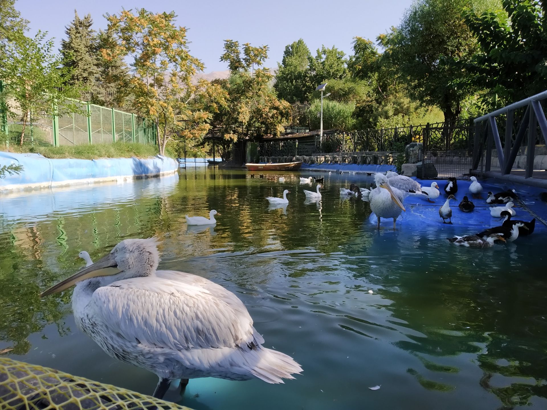 نمونه عکس روز ردمی ۷ شیائومی - حالت Photo