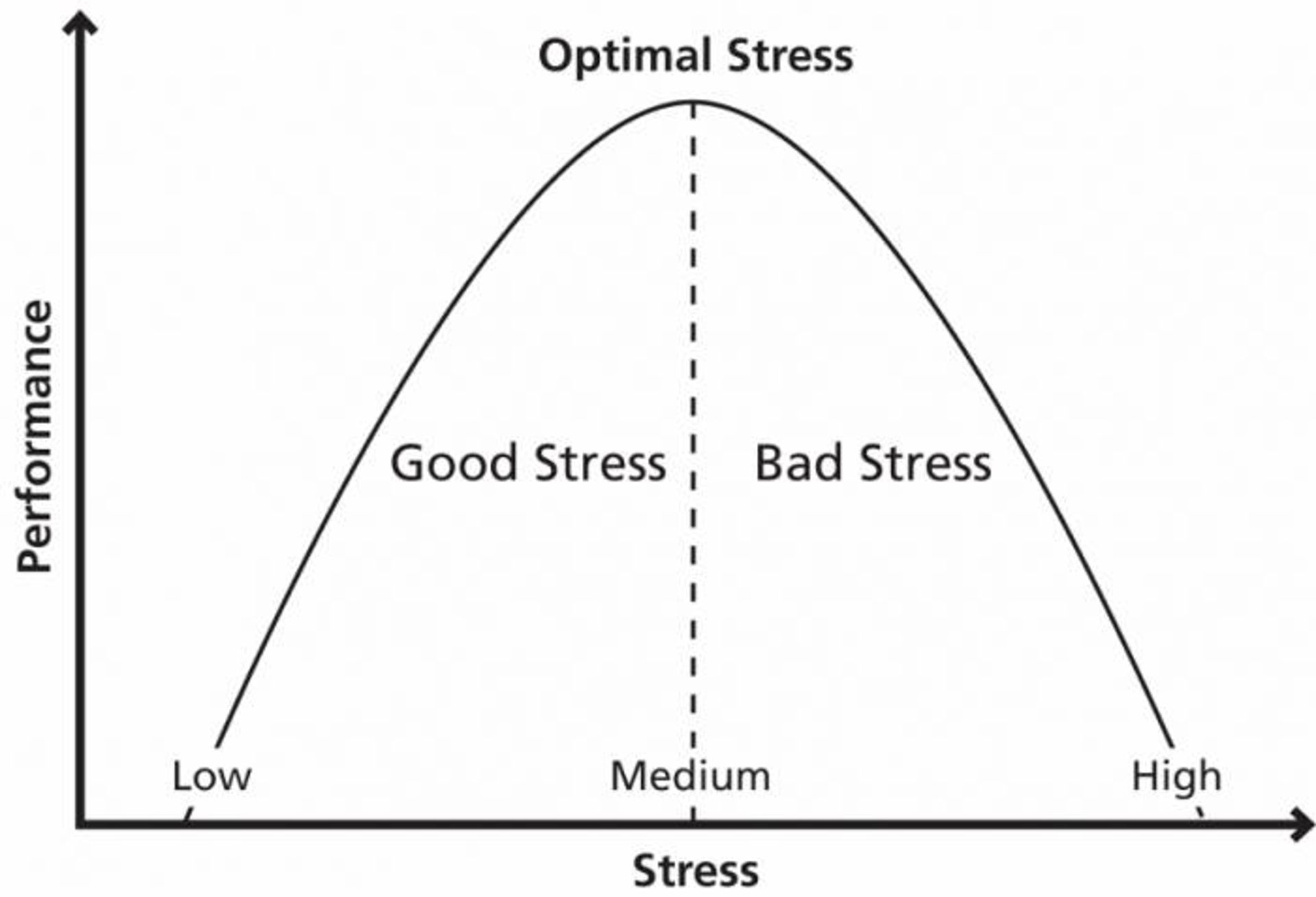 رابطه استرس و عملکرد