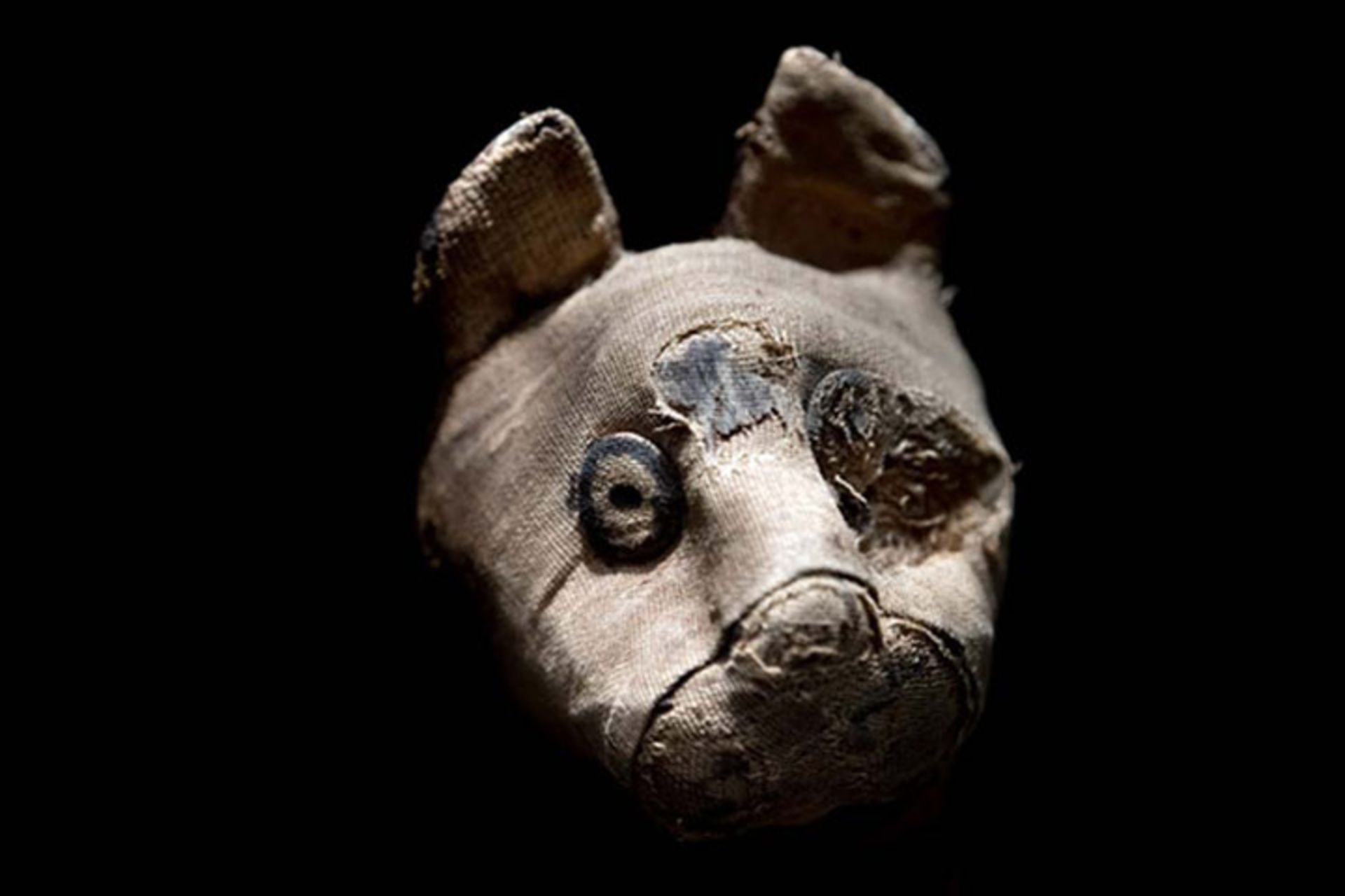 گربه‌ مومیایی