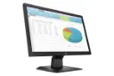 HP P204 19.5-inch Monitor