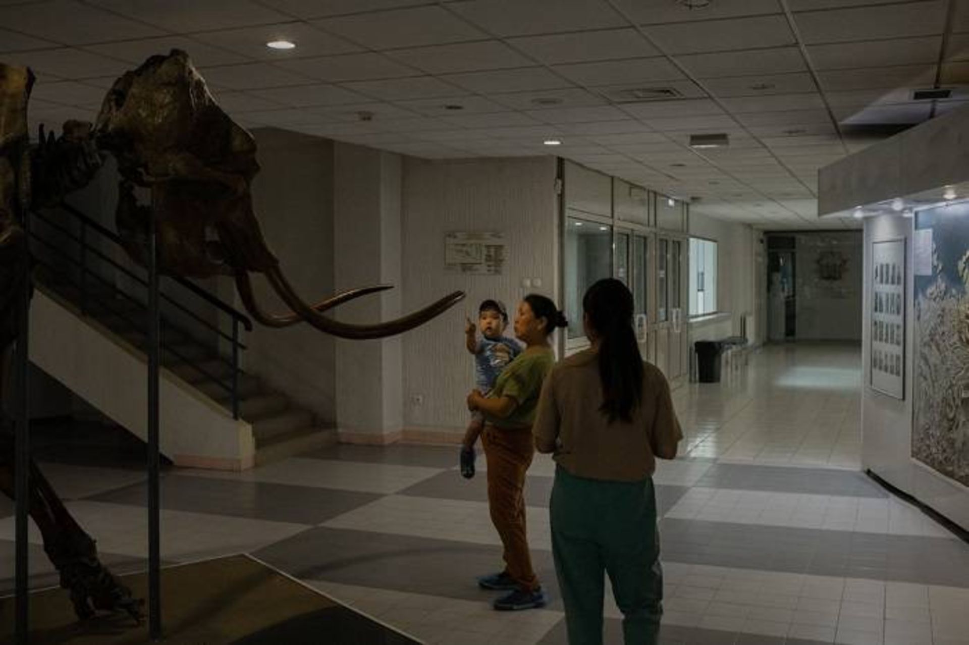 اسکلت ماموت