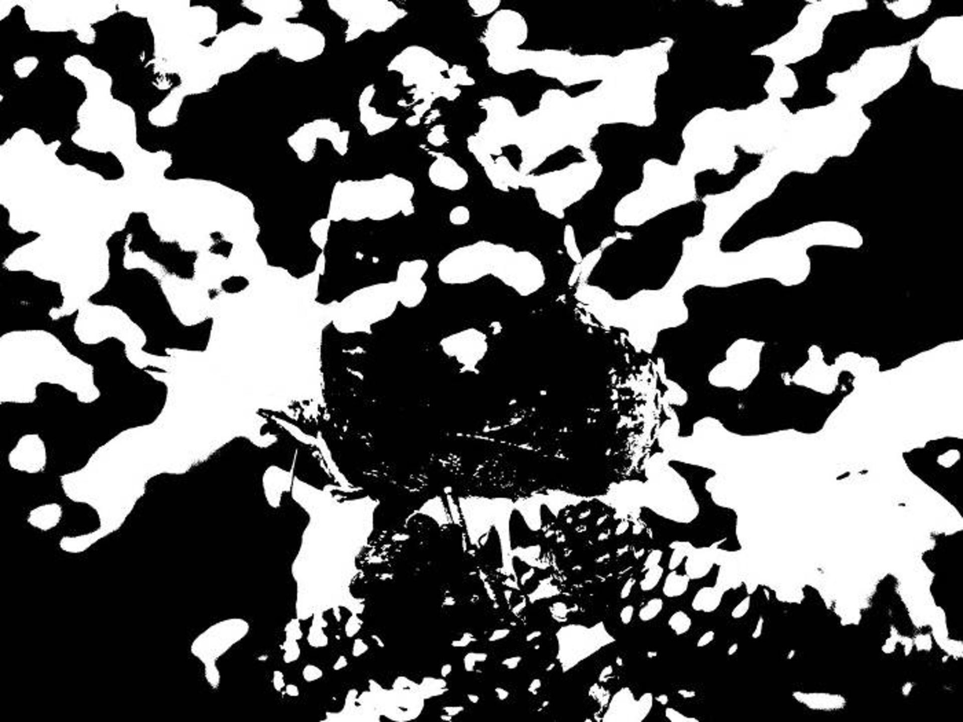 تصویر دورنگ