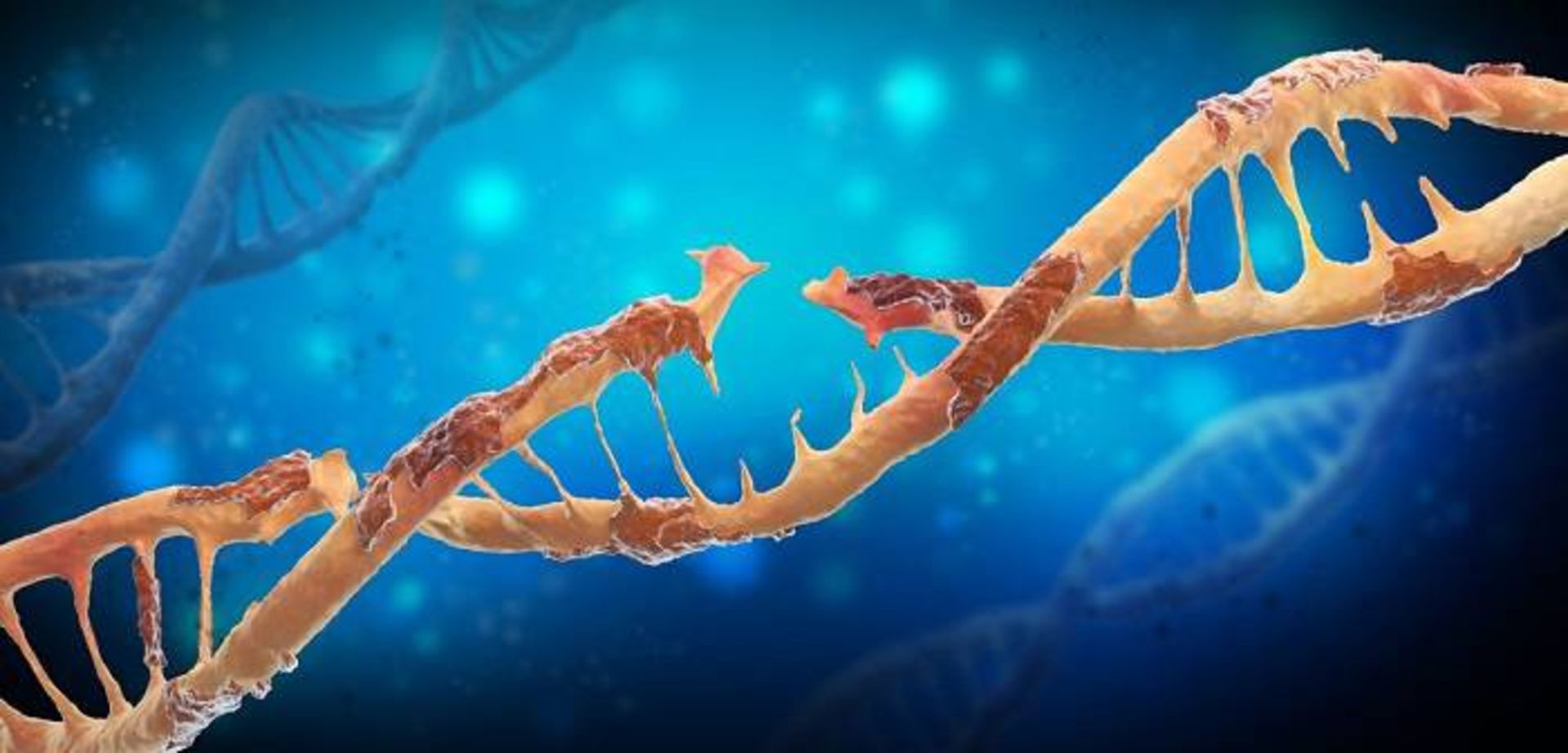 آسیب به DNA