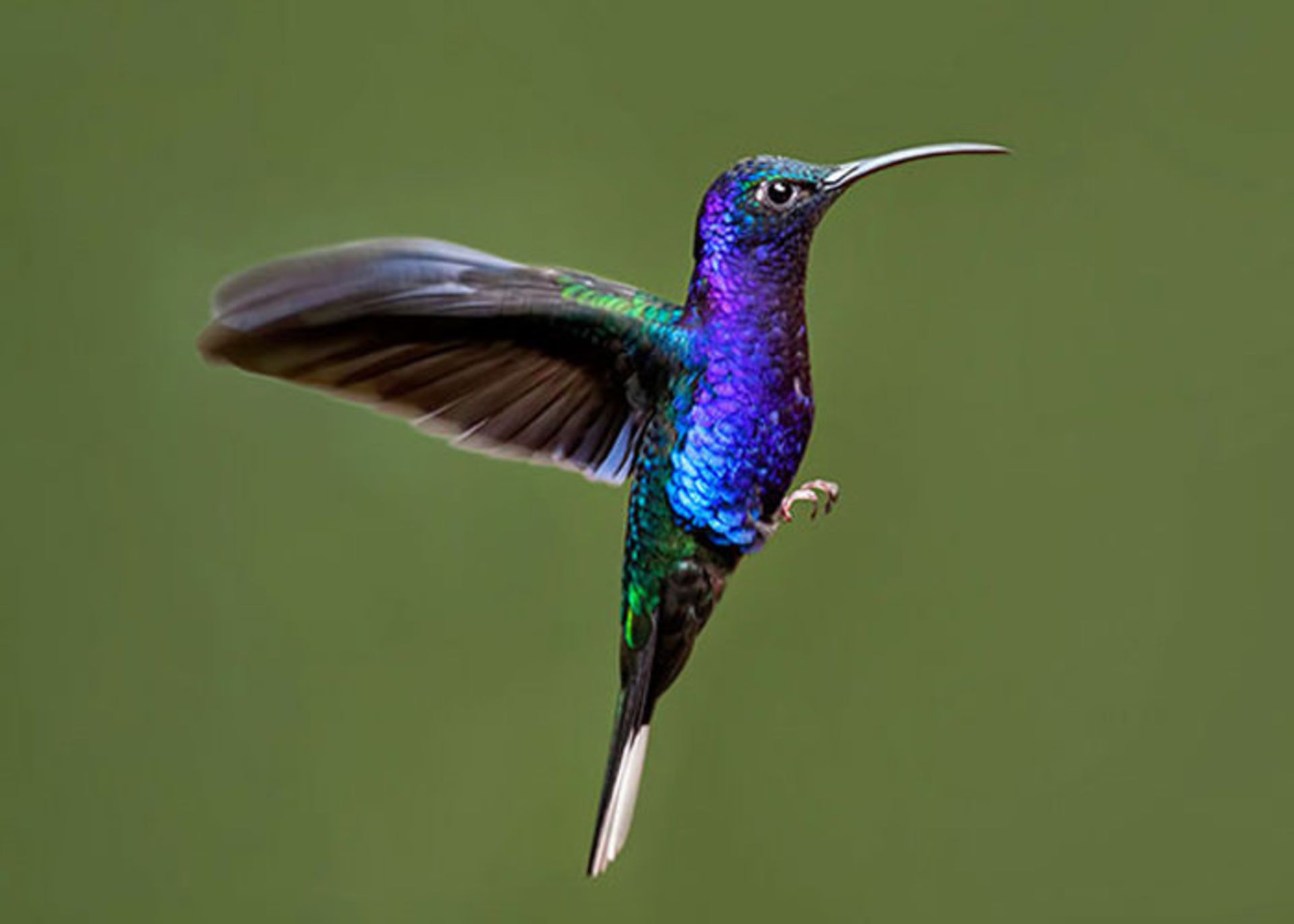 اسپیکر مجهز به هدایت استخوانی