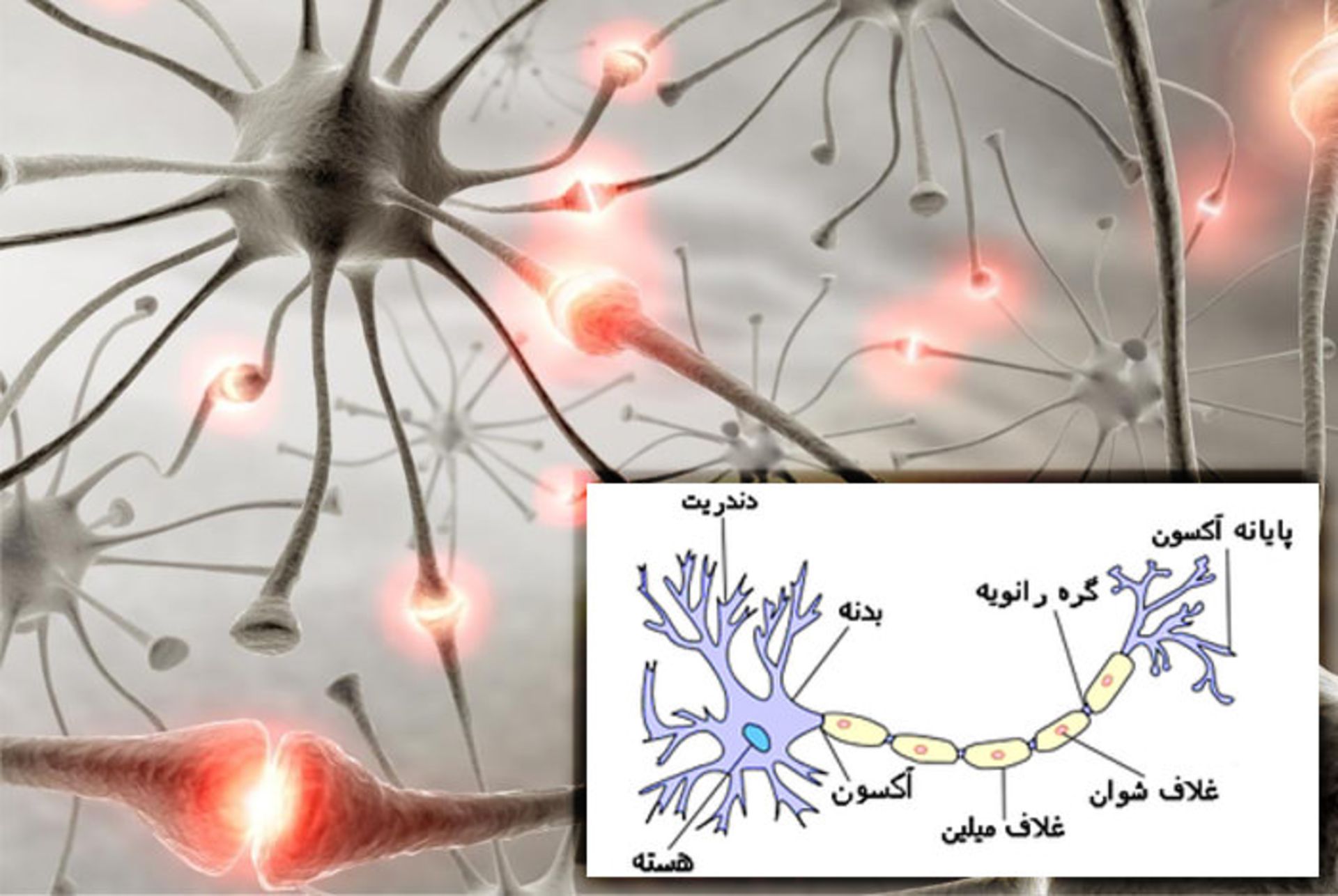 دنیای کوچک در حرکت