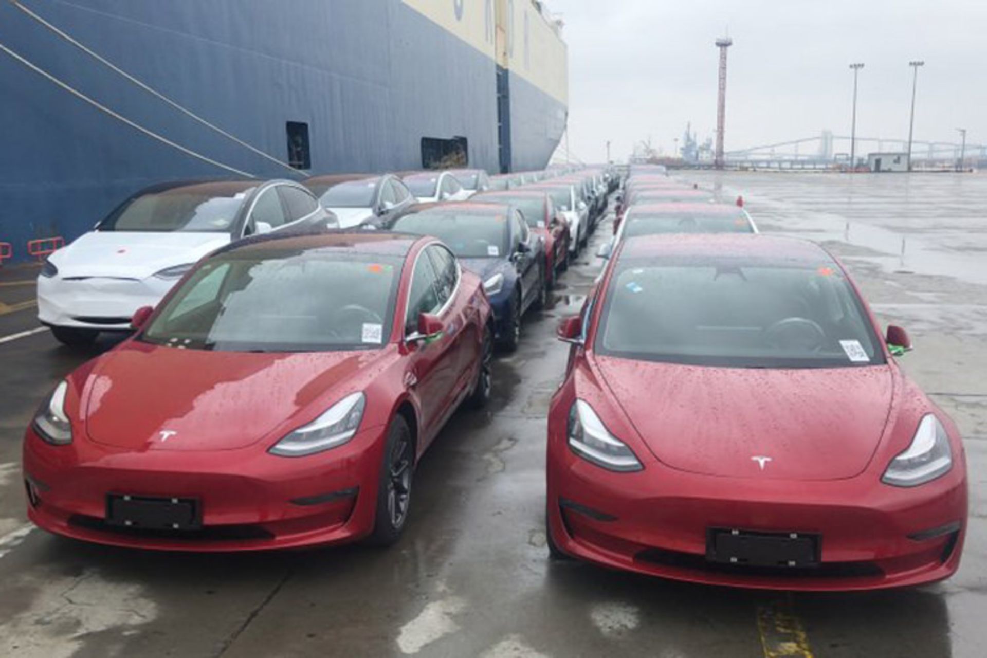 تسلا / tesla