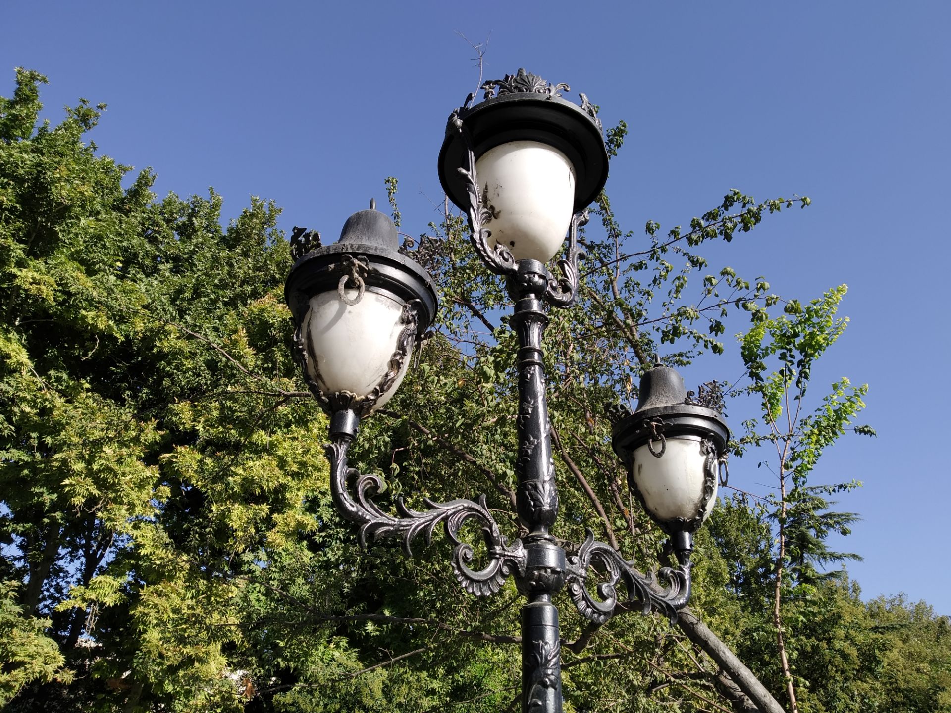 نمونه عکس روز ردمی ۷ شیائومی - حالت Photo