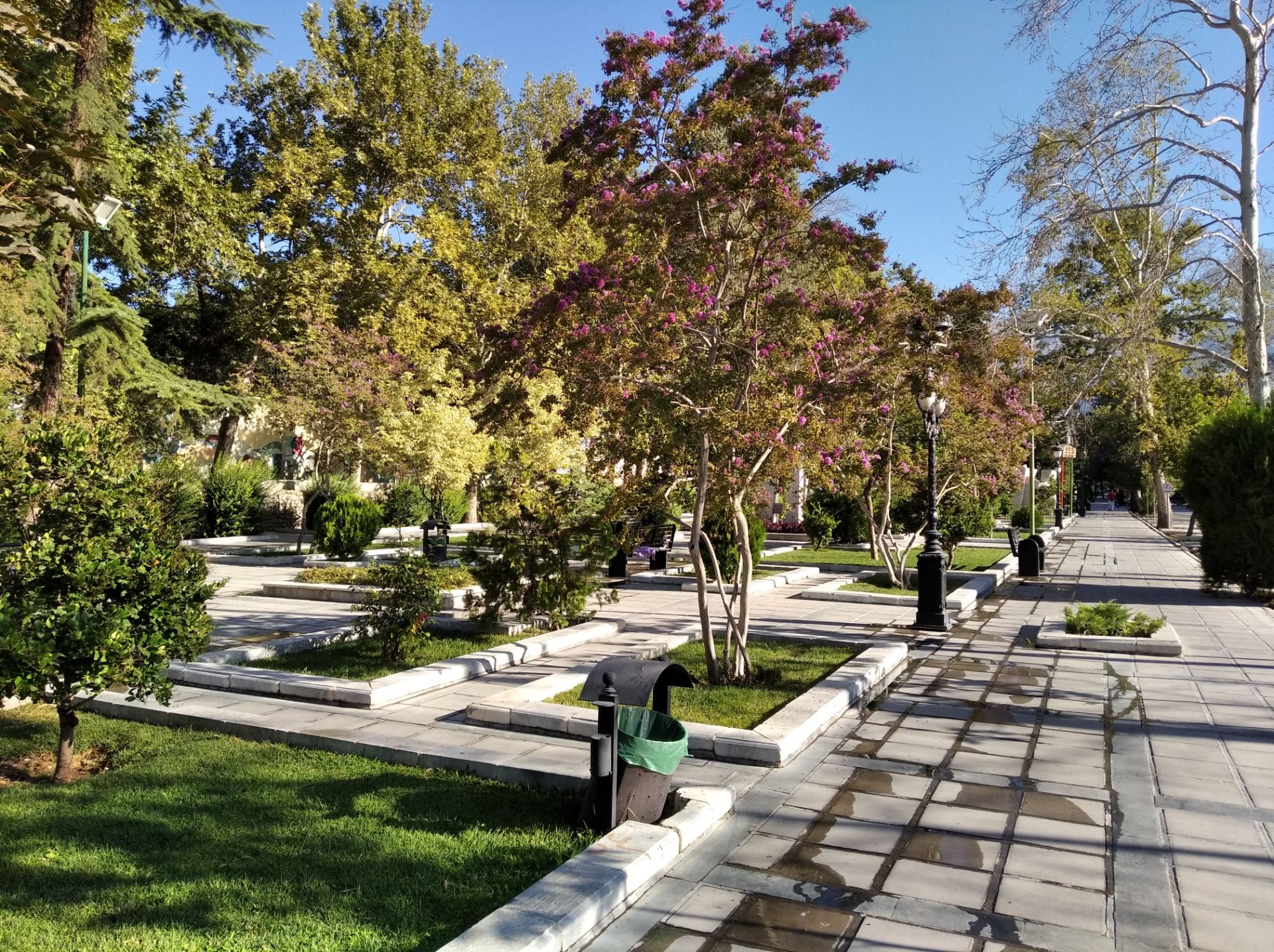 نمونه عکس روز ردمی ۷ ای شیائومی - حالت Photo