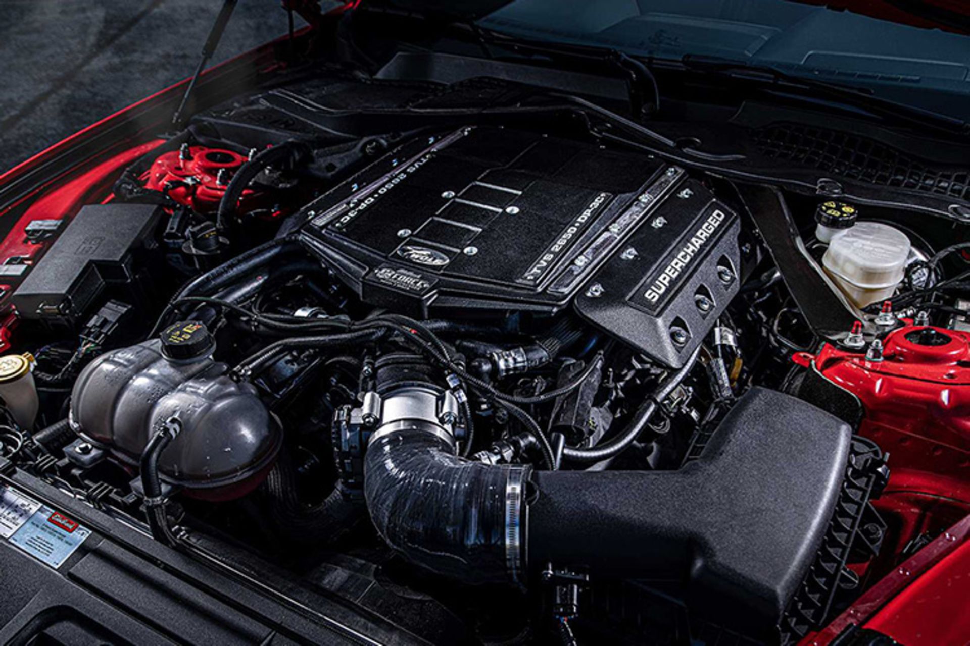 فورد موستانگ ولف ریسینگ