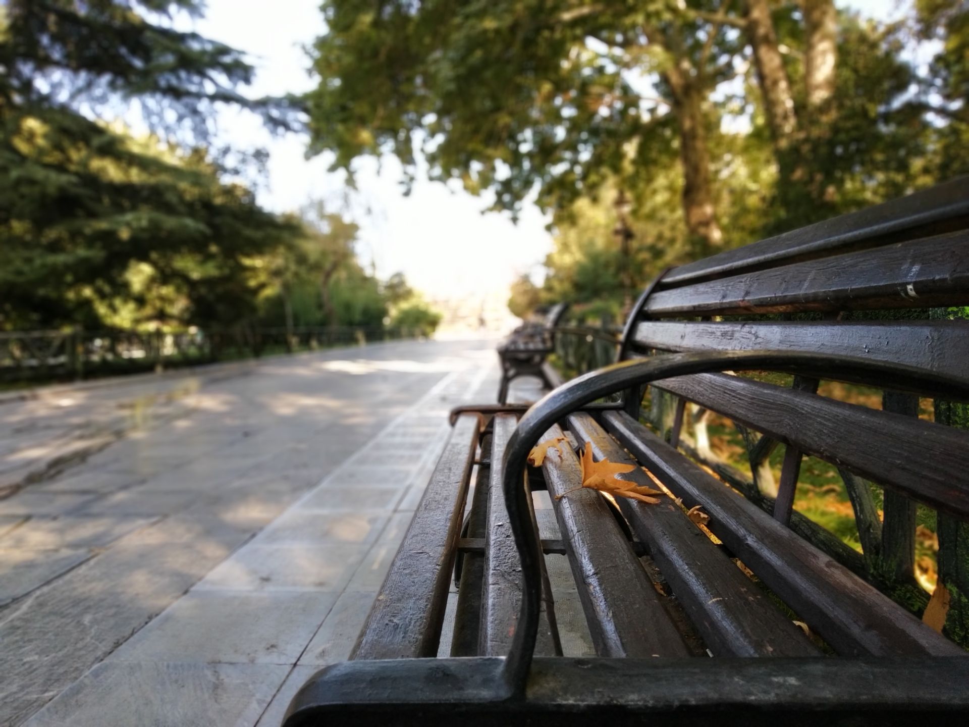 نمونه عکس روز ردمی ۷ شیائومی - حالت پرتره