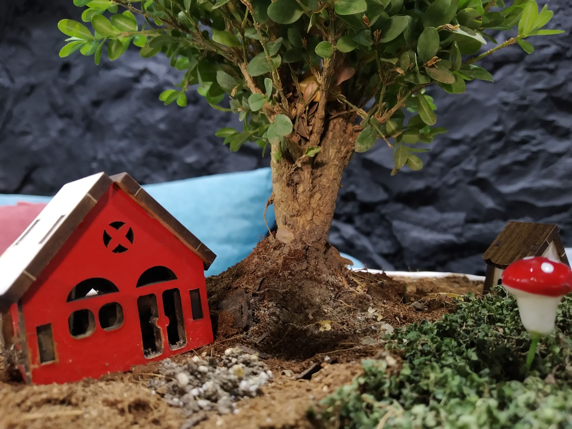 نمونه عکس در نور مصنوعی با ردمی ۷ شیائومی - حالت Photo