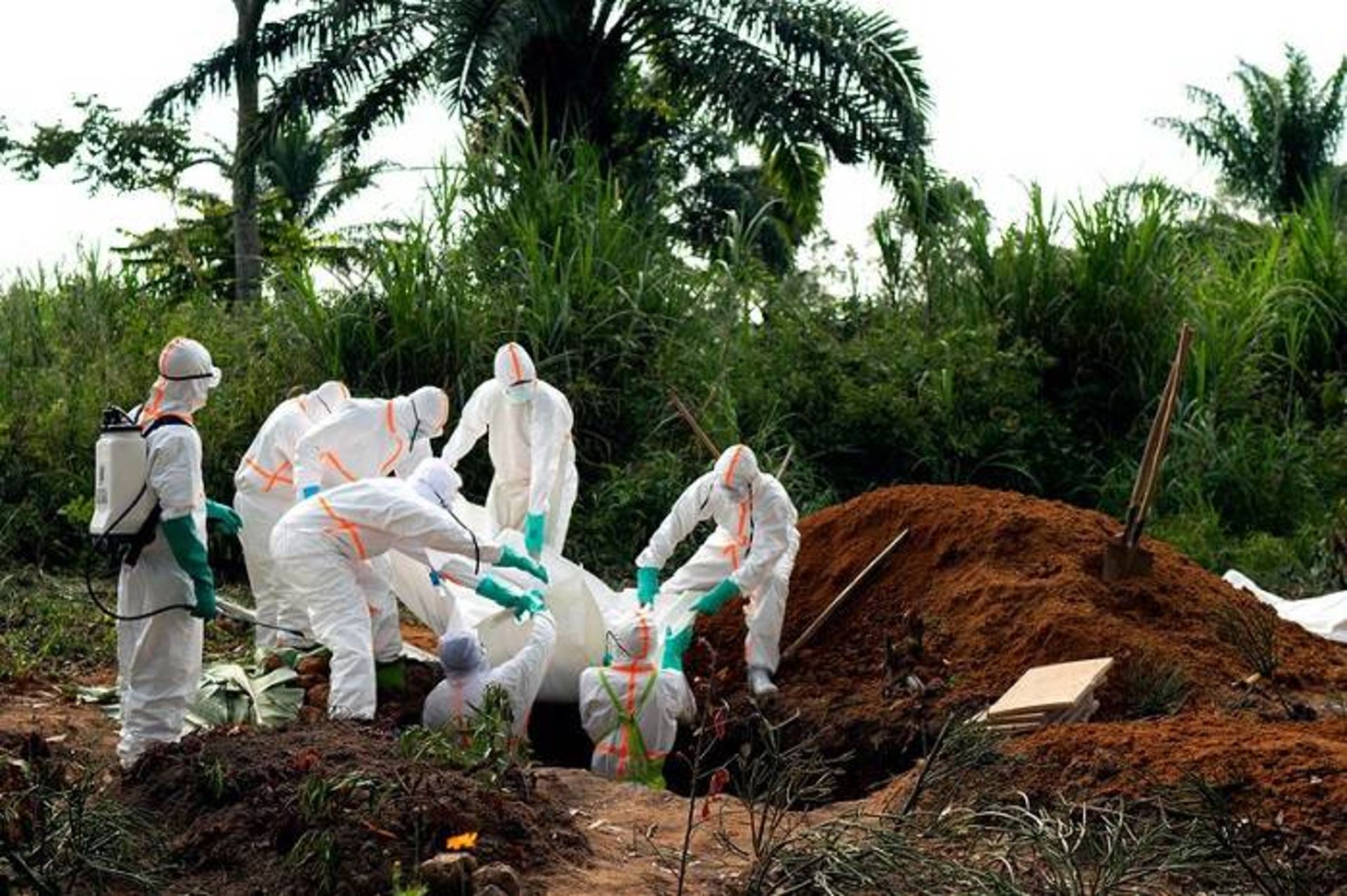 مرجع متخصصين ايران مرگ در اثر ابولا