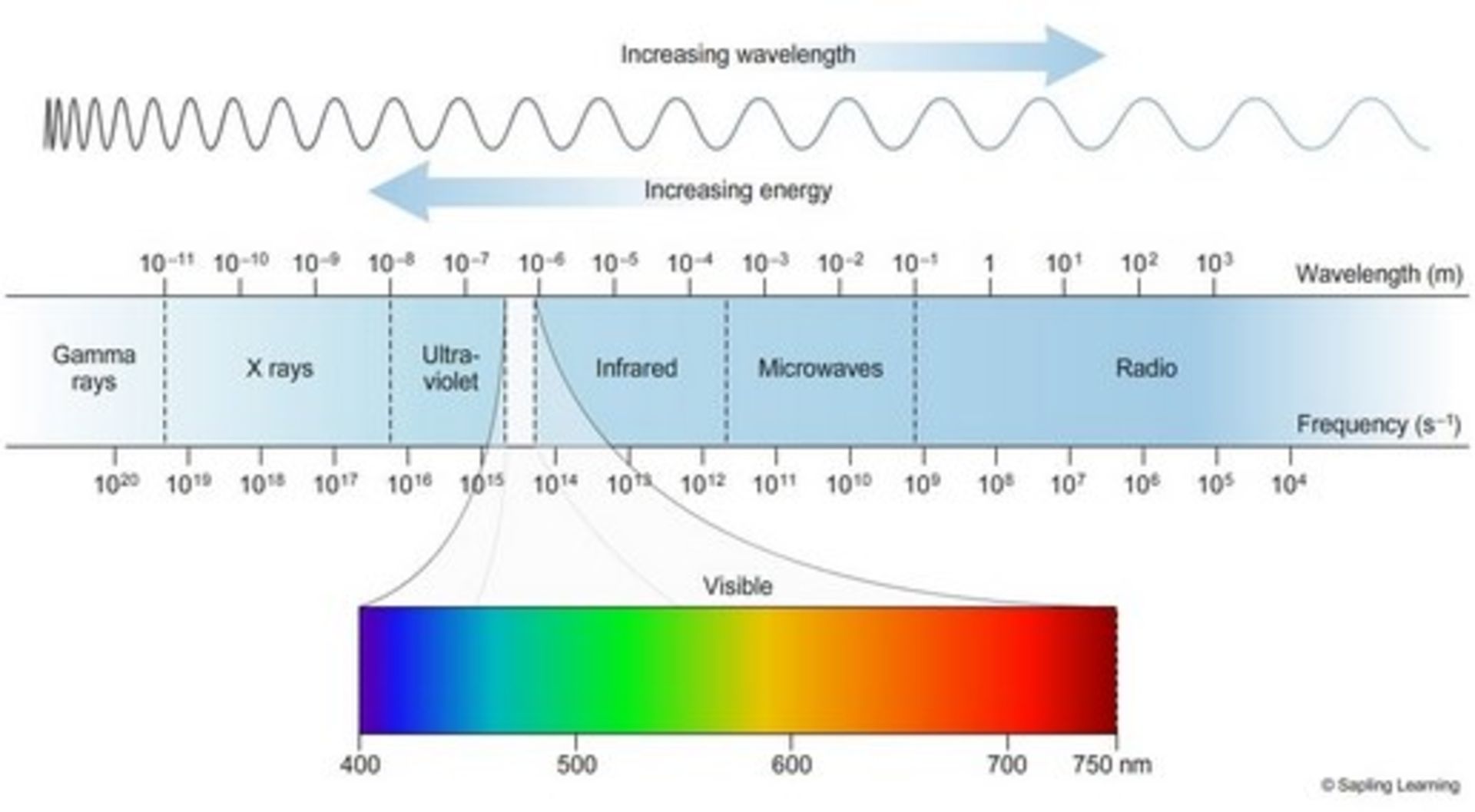 eye wavelength frequency