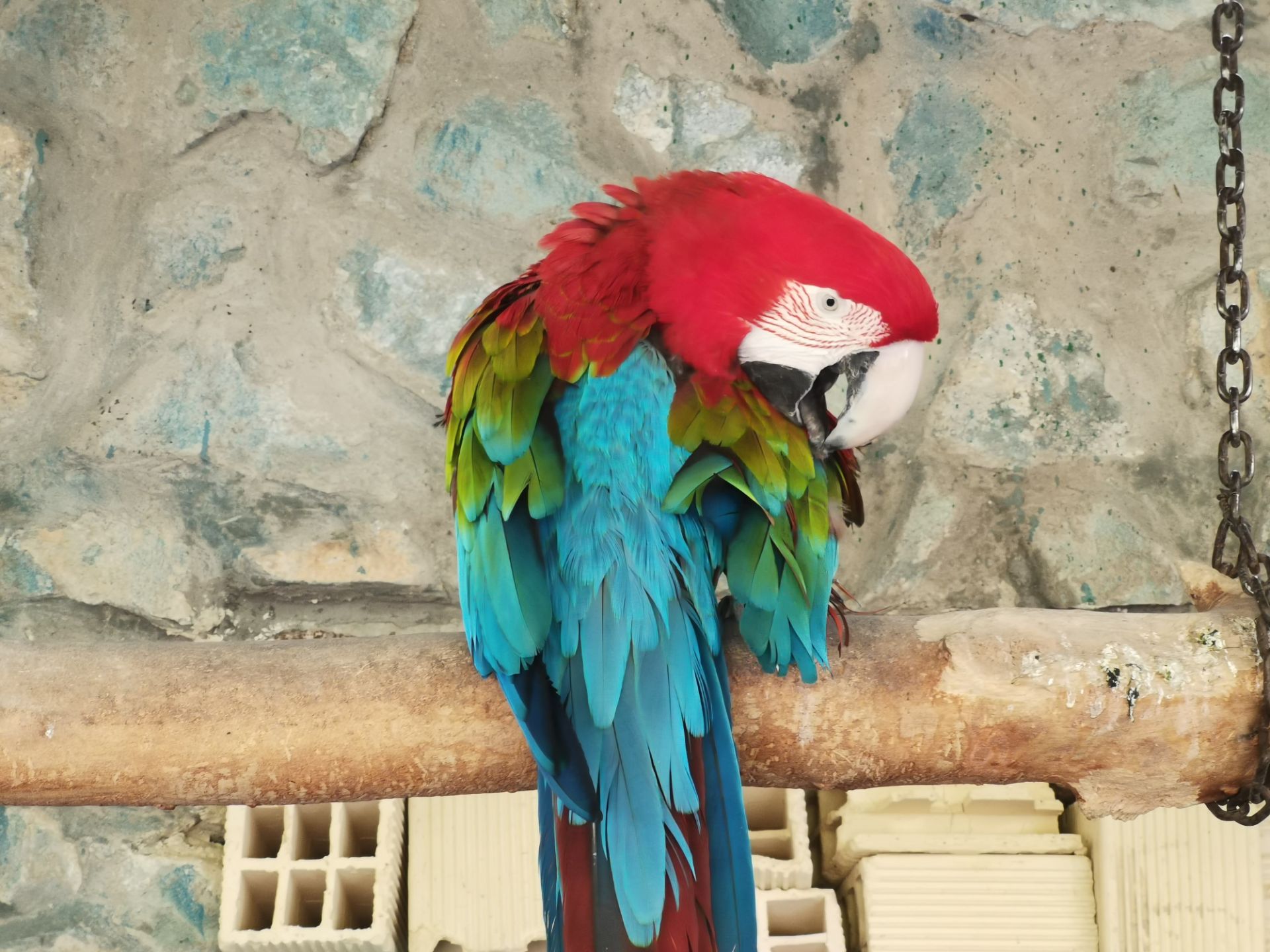 نمونه‌عکس‌ آنر 20 پرو با زوم اپتیکال ۳ برابری