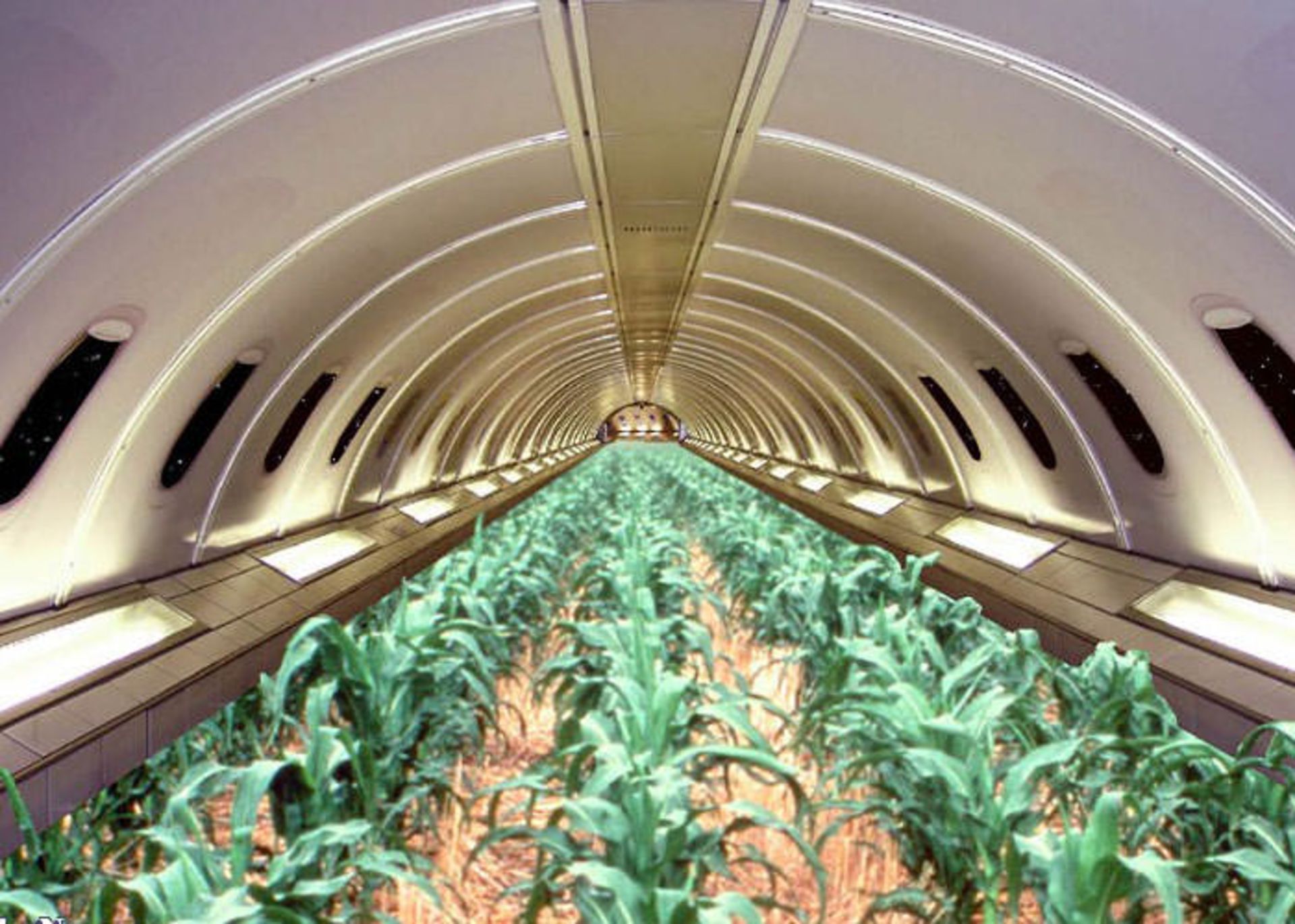 کشاورزی در فضا