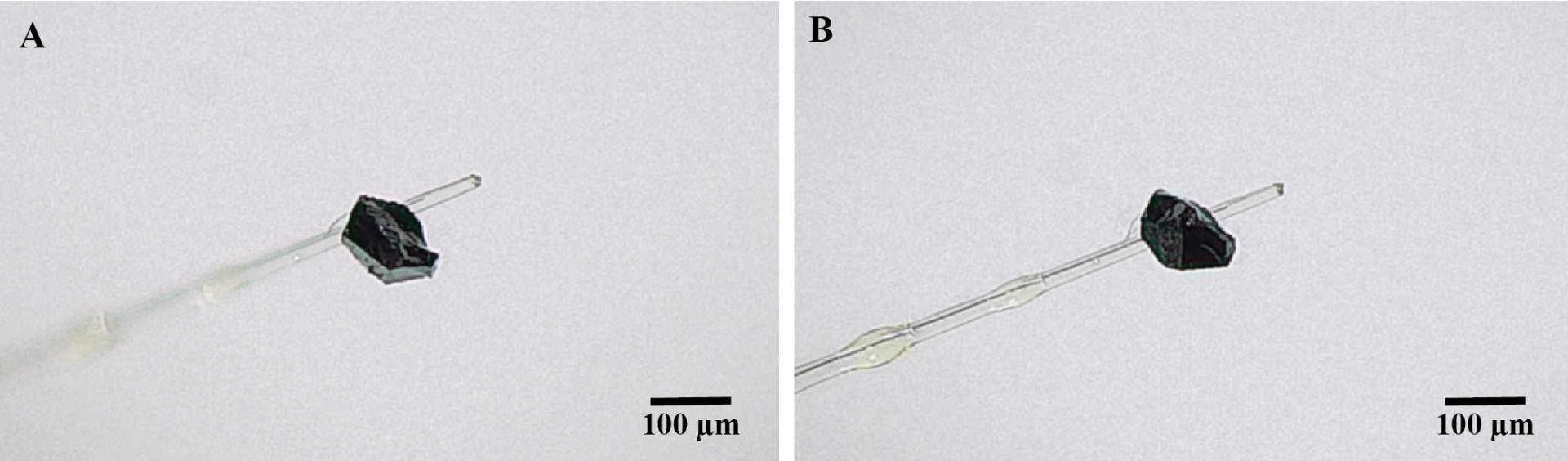 در این تصویر ماده معدنی جدید گلدشمیتت را مشاهده می‌کنید که از الماس به تازگی کشف شده استخراج شد