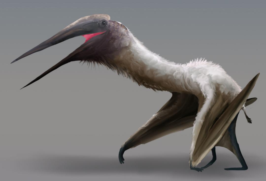 «کرایدراکون بوریاس (Cryodrakon Boreas)