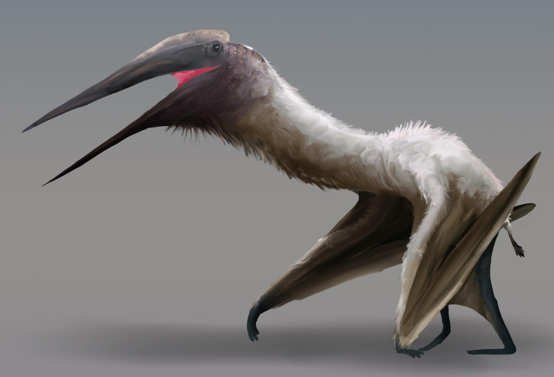 «کرایدراکون بوریاس (Cryodrakon Boreas)