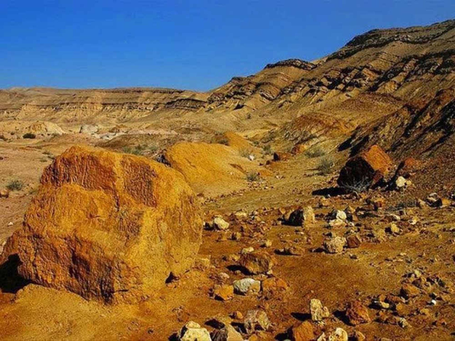 تله‌های باستانی