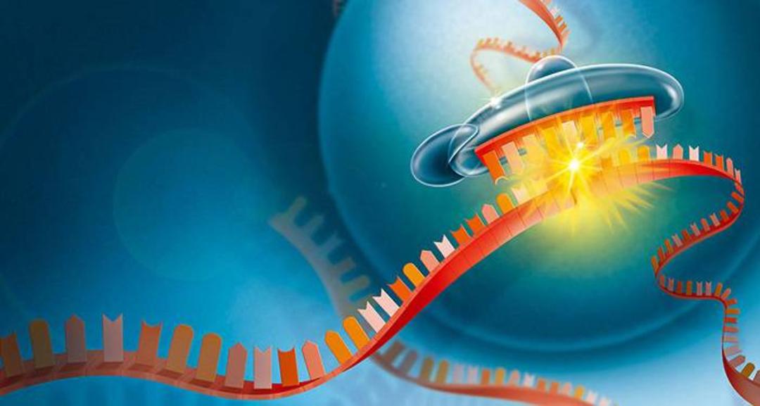 ویرایش RNA