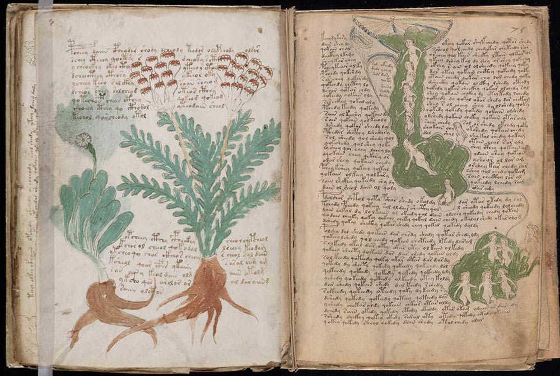 دست‌نوشته‌های ووینیچ